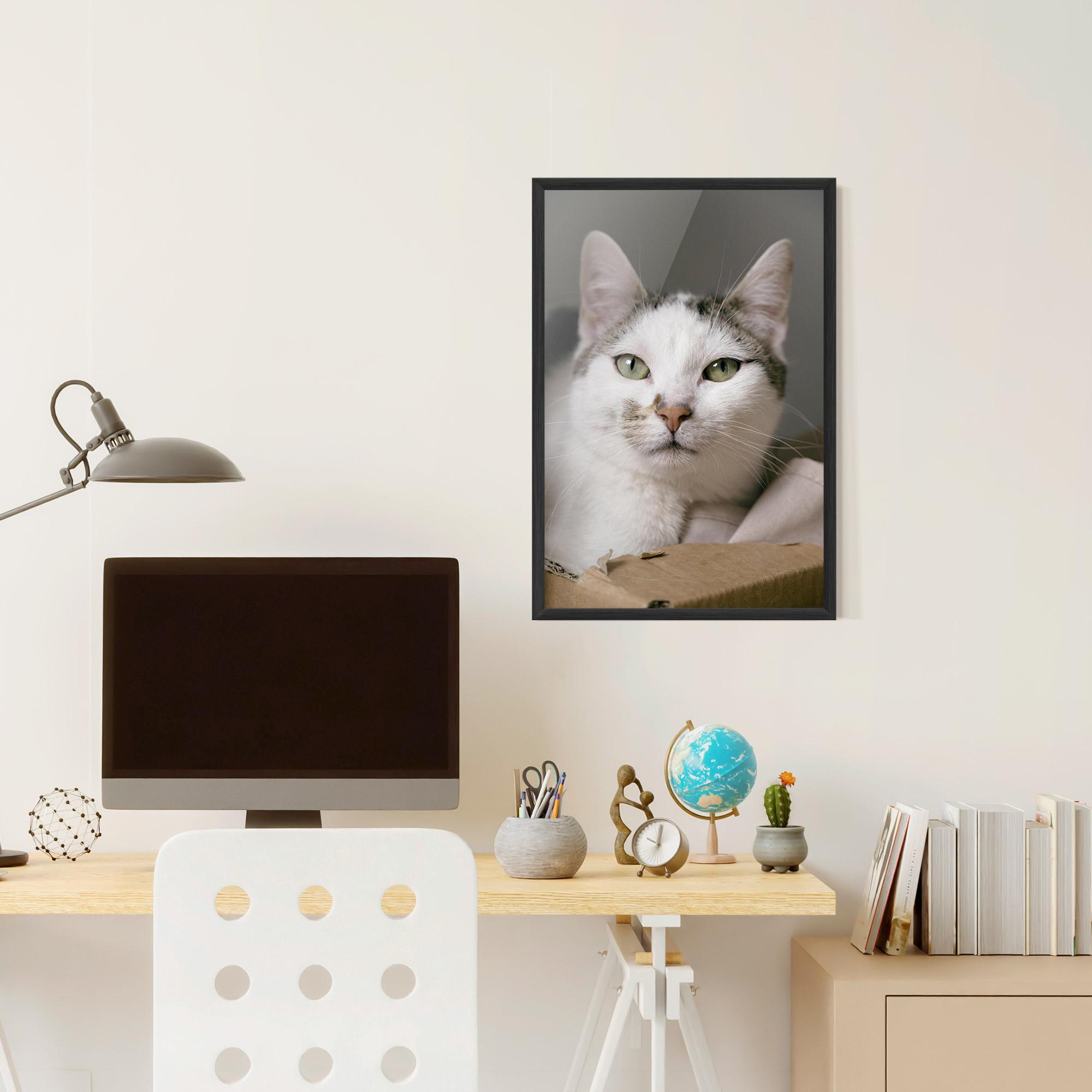 Plakat w Ramie Big Sleepy Cat mockup 6