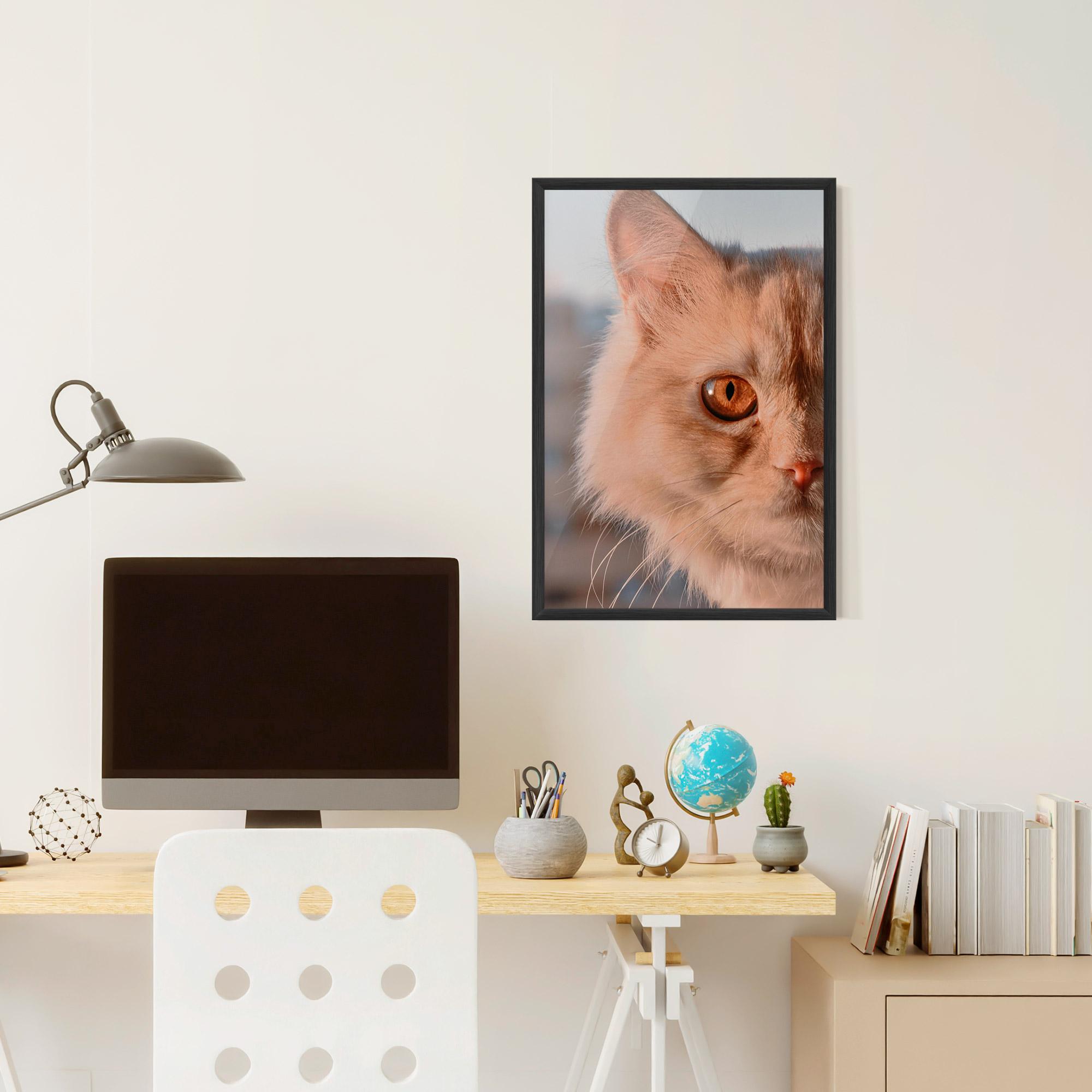 Plakat w Ramie Cat Eye In Sun mockup 6