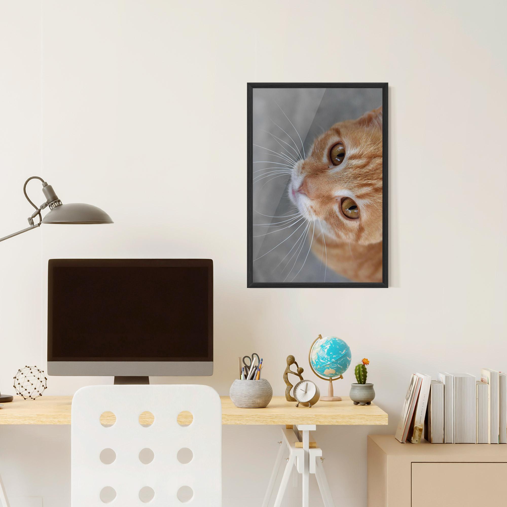 Plakat w Ramie Pretty Orange Eyes Cat mockup 6