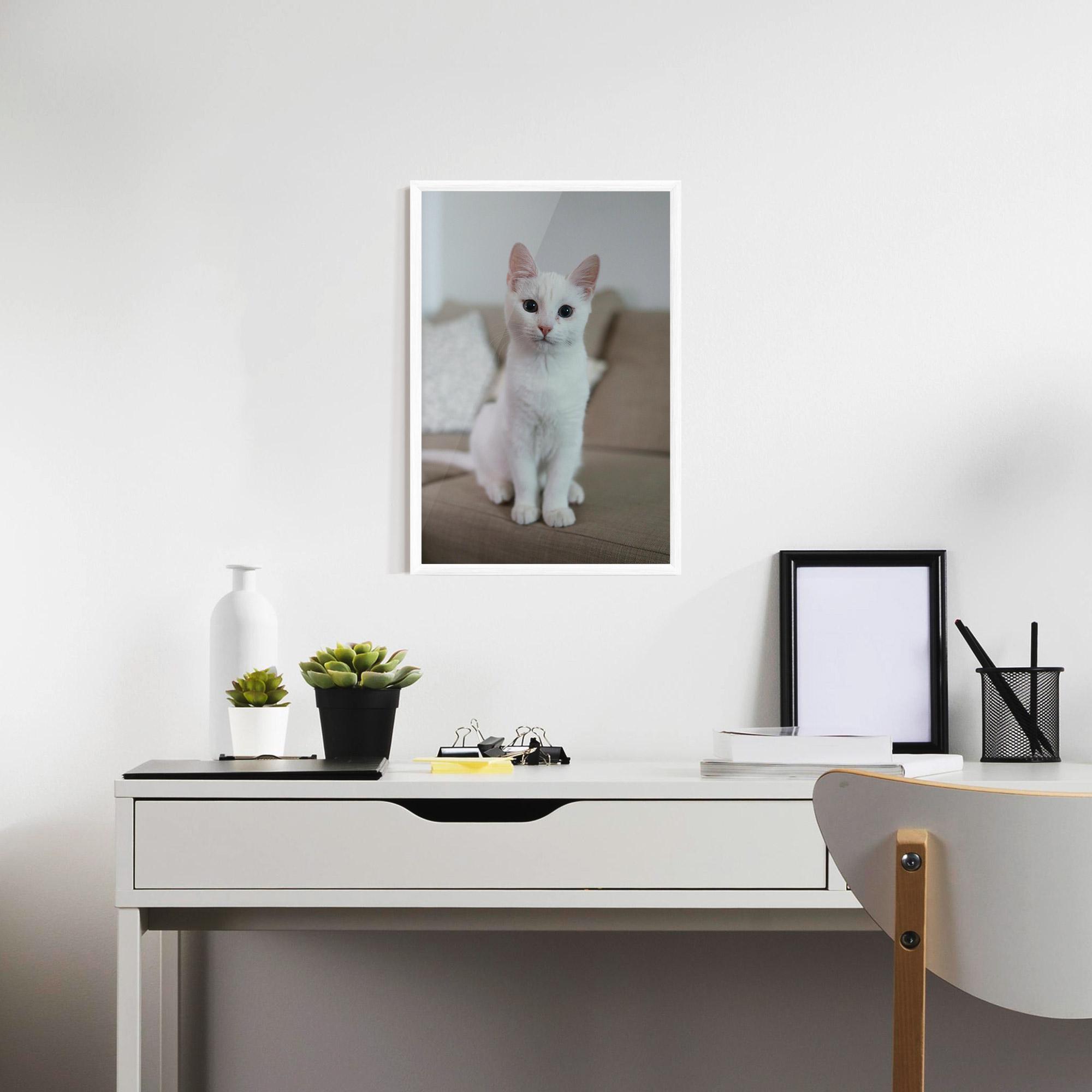 Plakat w Ramie Beautiful White Cat mockup 7