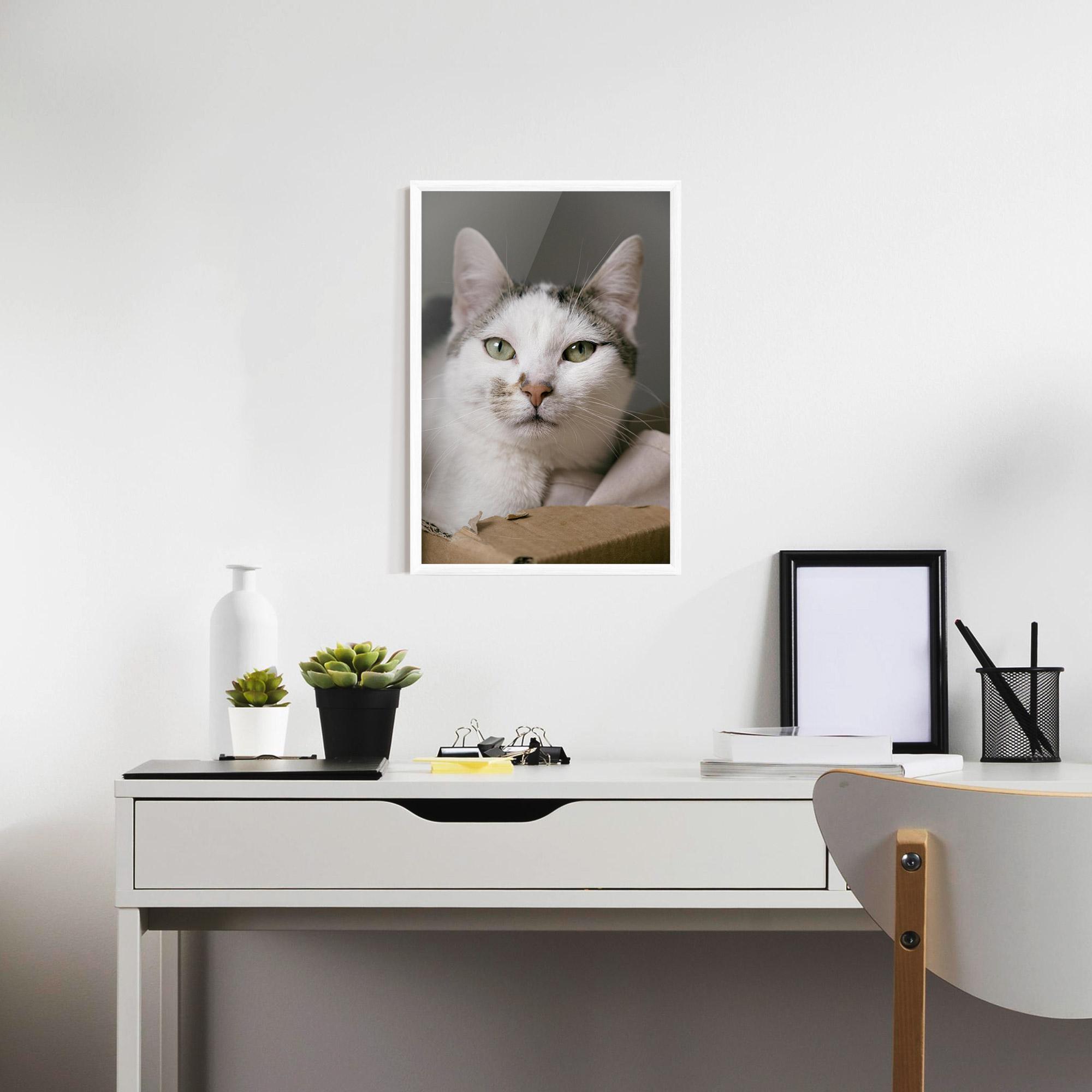 Plakat w Ramie Big Sleepy Cat mockup 7