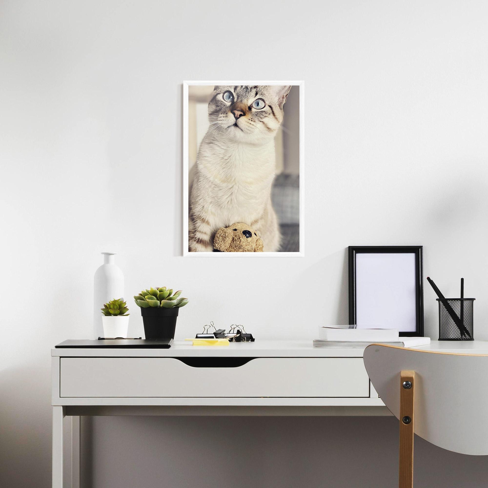 Plakat w Ramie Pretty Blue Eyes Cat mockup 7