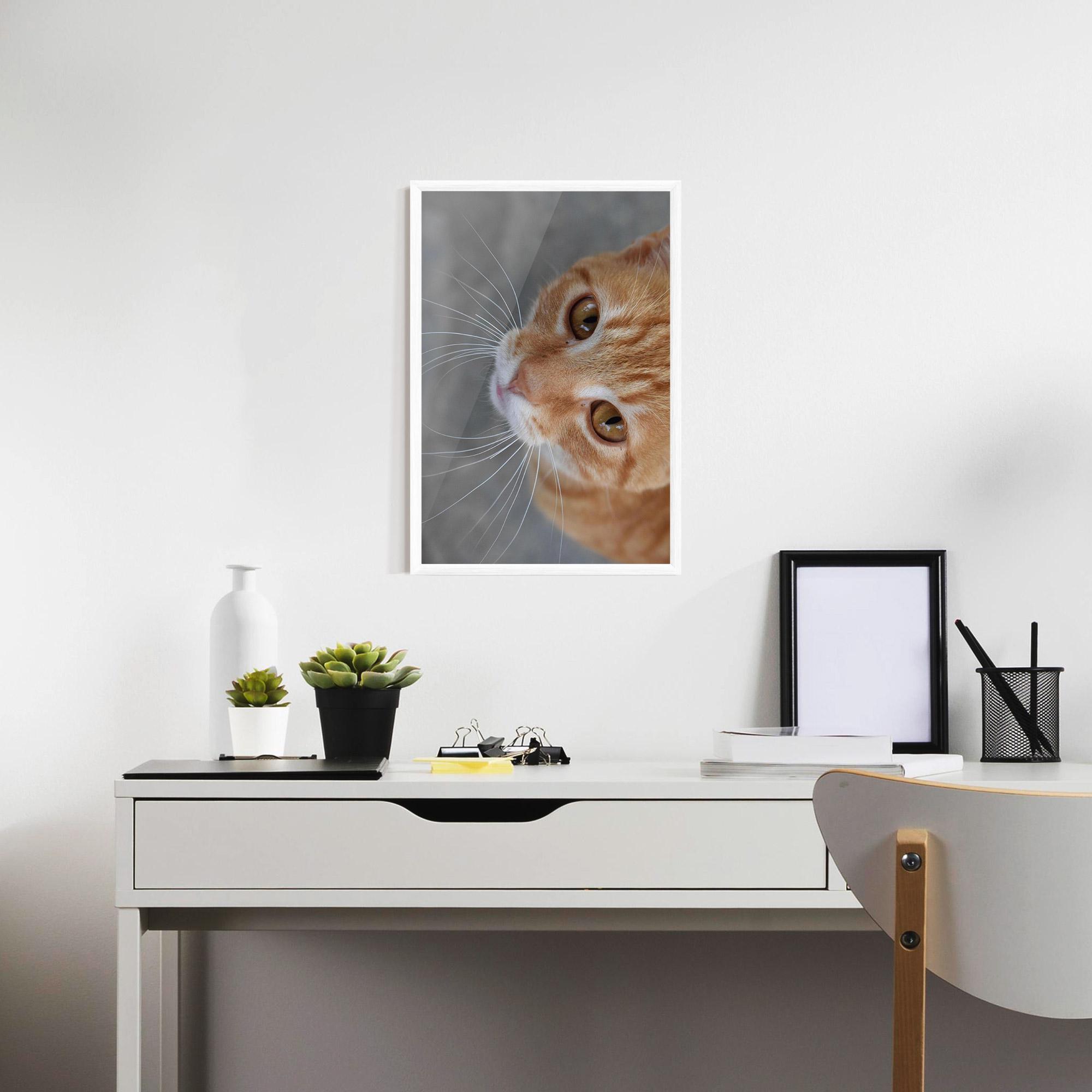 Plakat w Ramie Pretty Orange Eyes Cat mockup 7