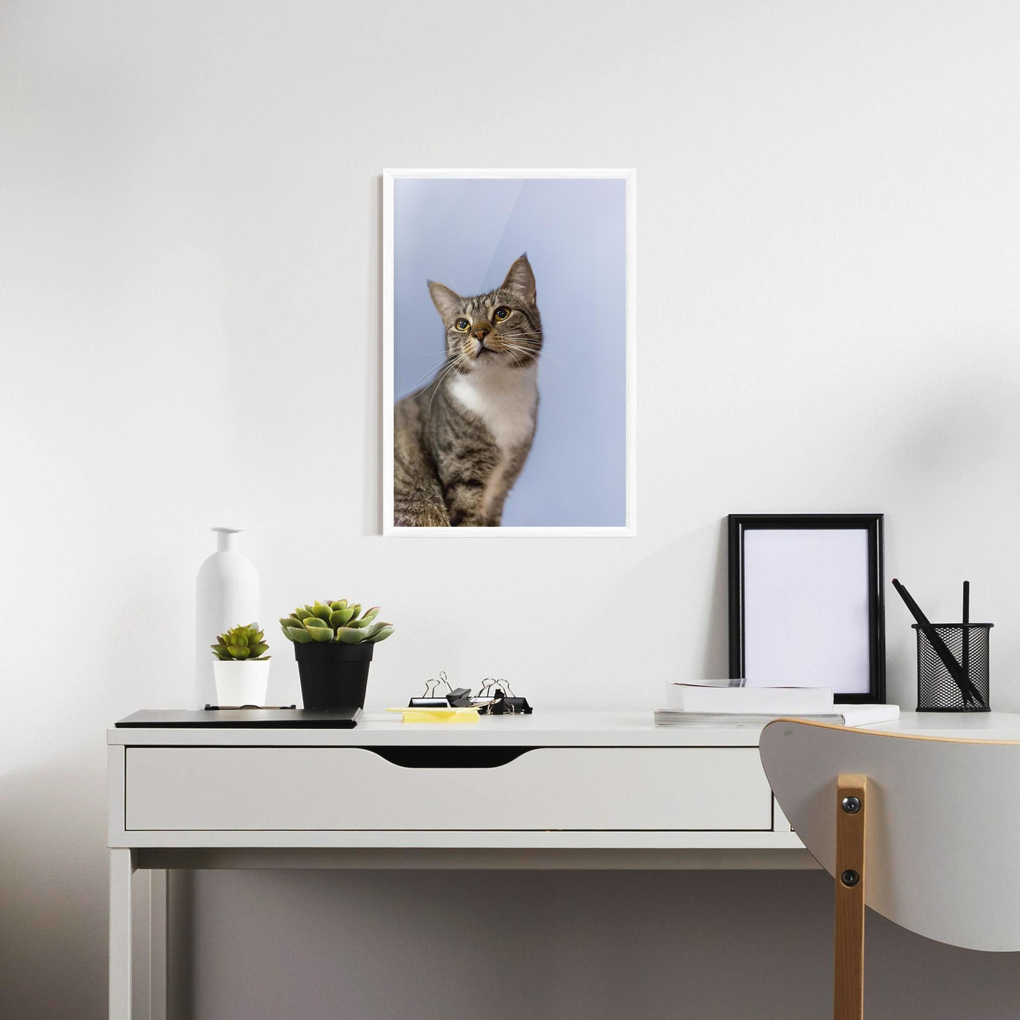 Plakat w Ramie Yellow Eyes Cat mockup 7