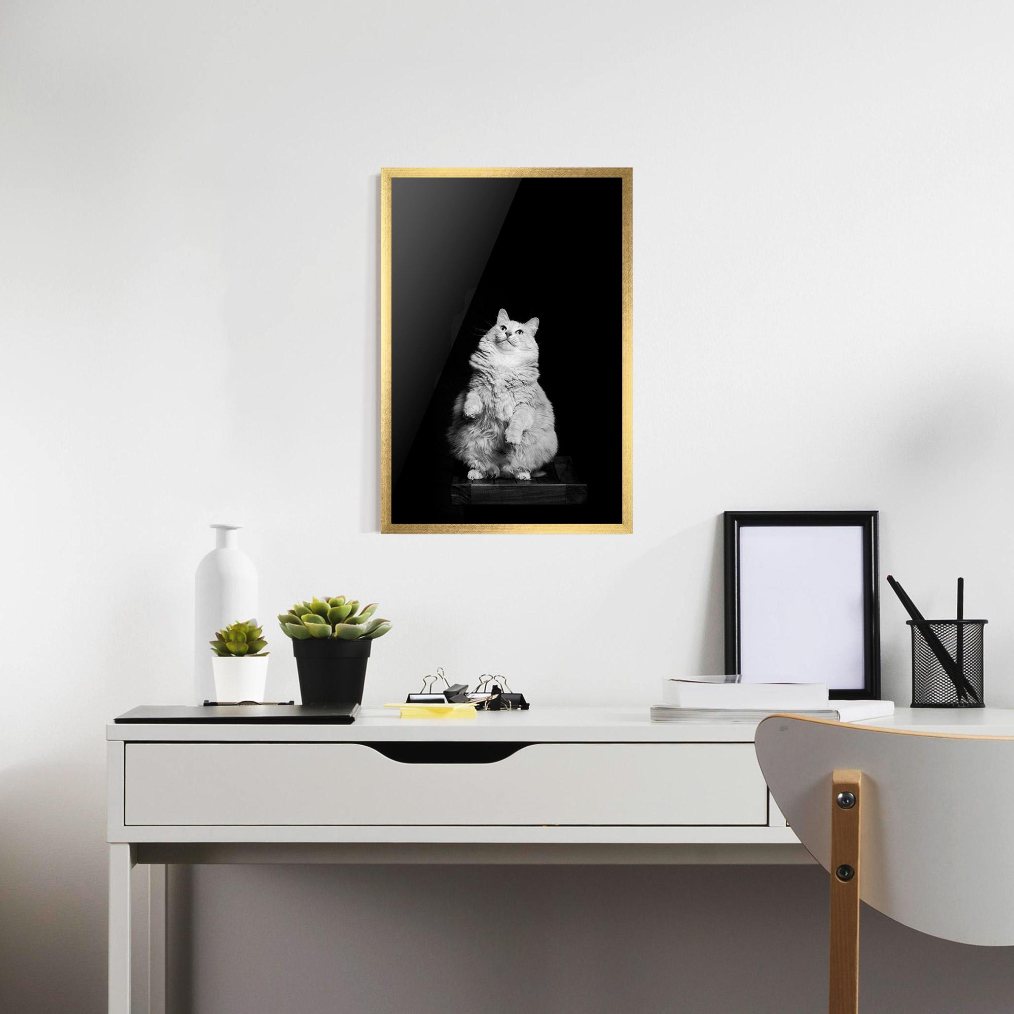 Plakat w Ramie Big Fluffy Cat mockup 7
