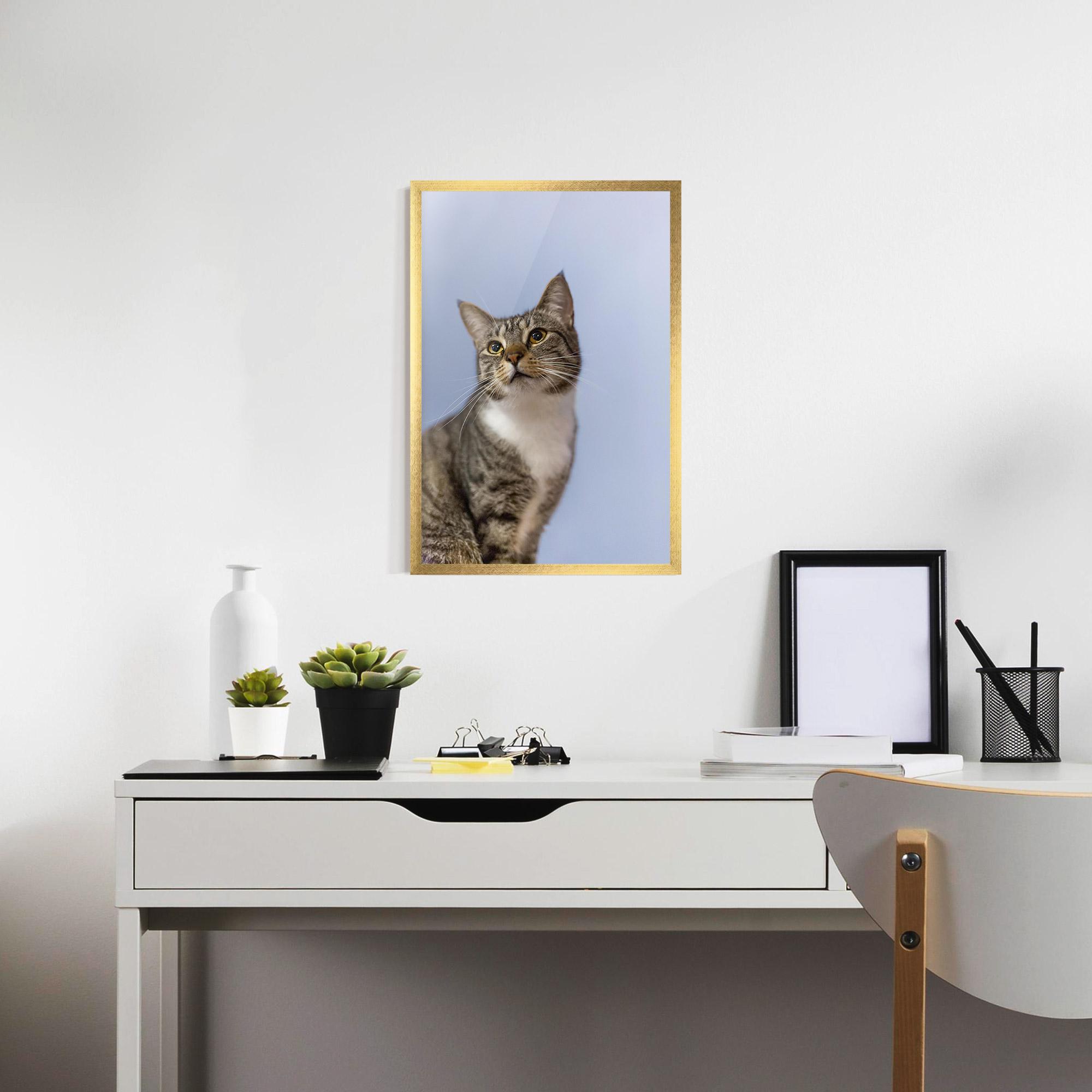 Plakat w Ramie Yellow Eyes Cat mockup 7