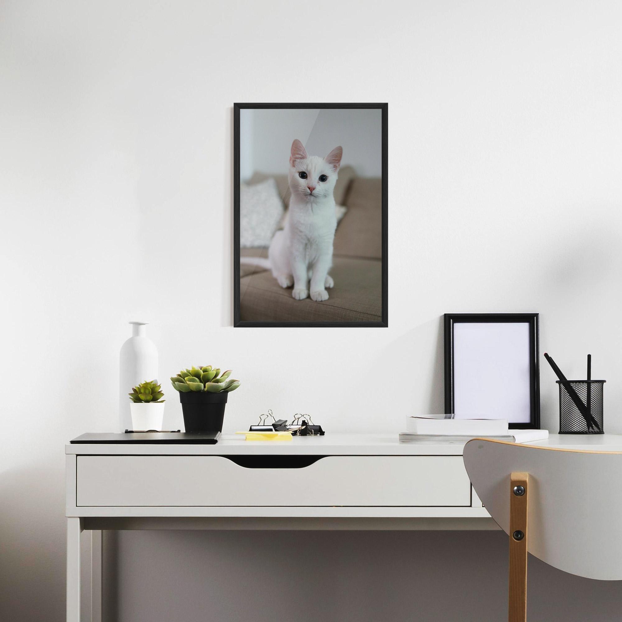 Plakat w Ramie Beautiful White Cat mockup 7