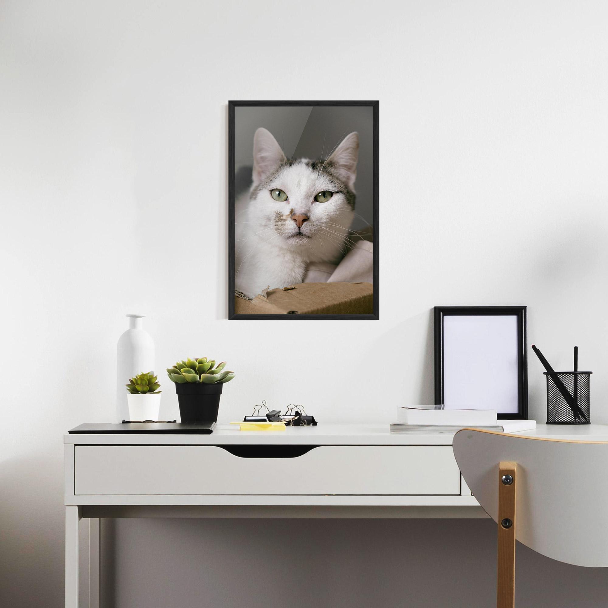 Plakat w Ramie Big Sleepy Cat mockup 7