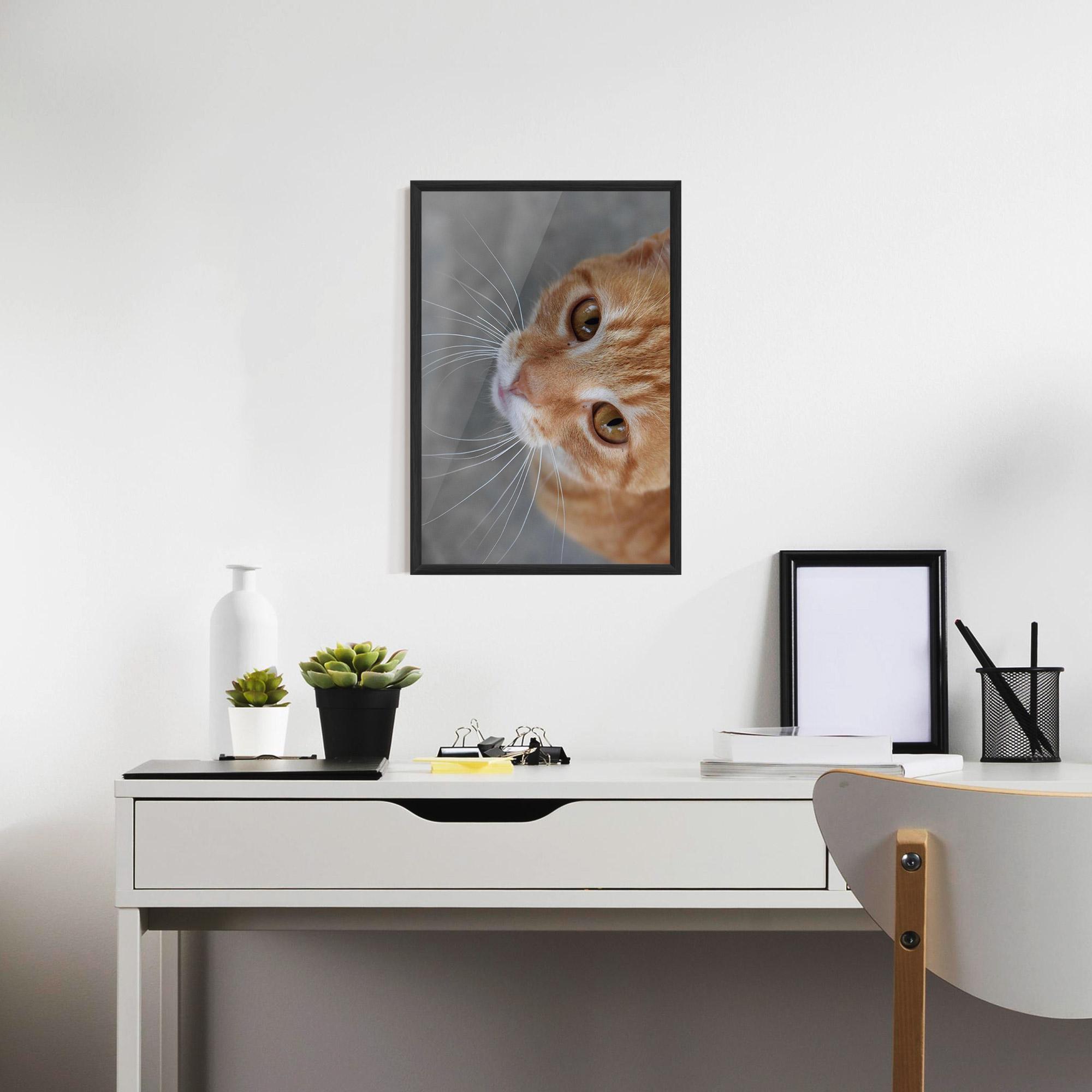 Plakat w Ramie Pretty Orange Eyes Cat mockup 7