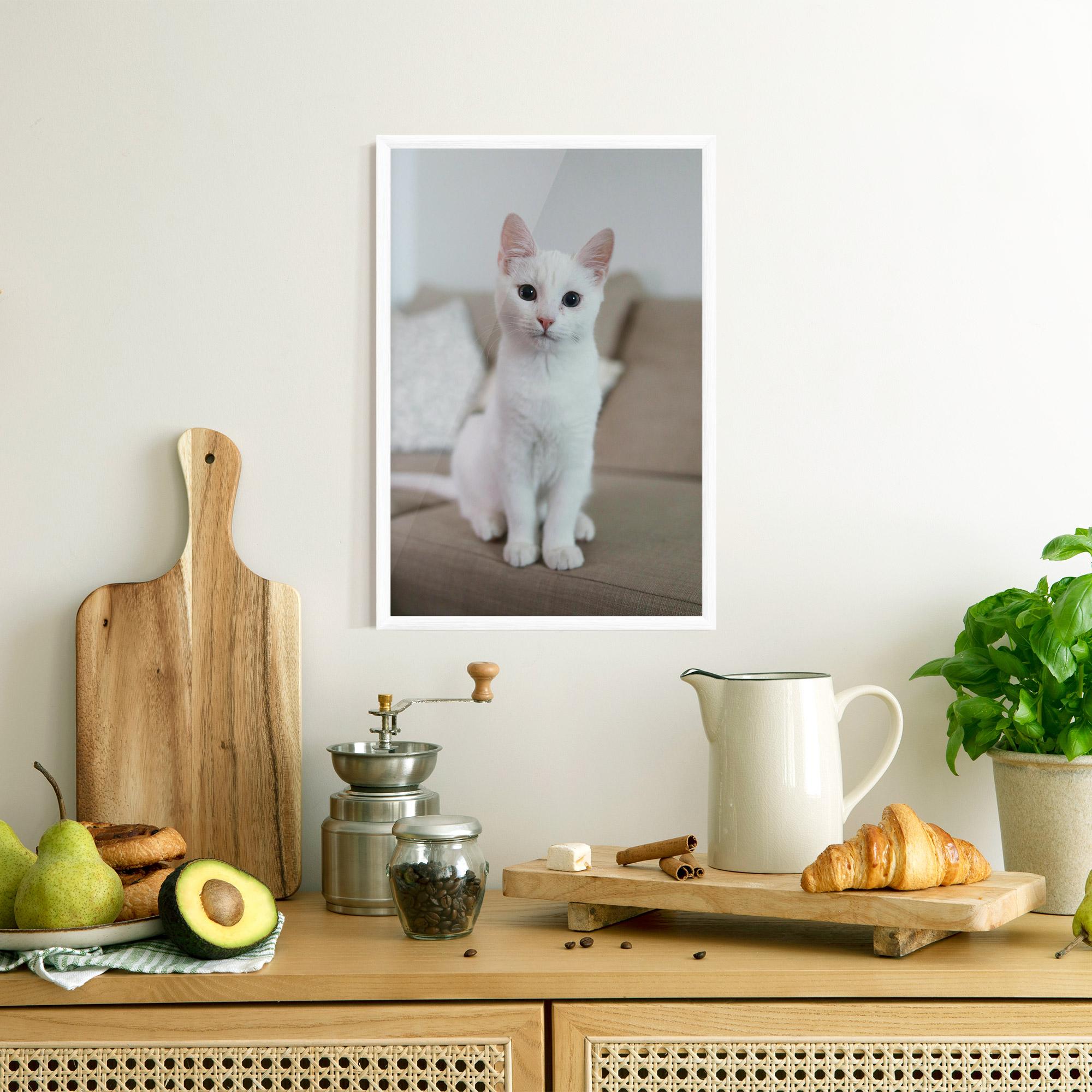Plakat w Ramie Beautiful White Cat mockup 8