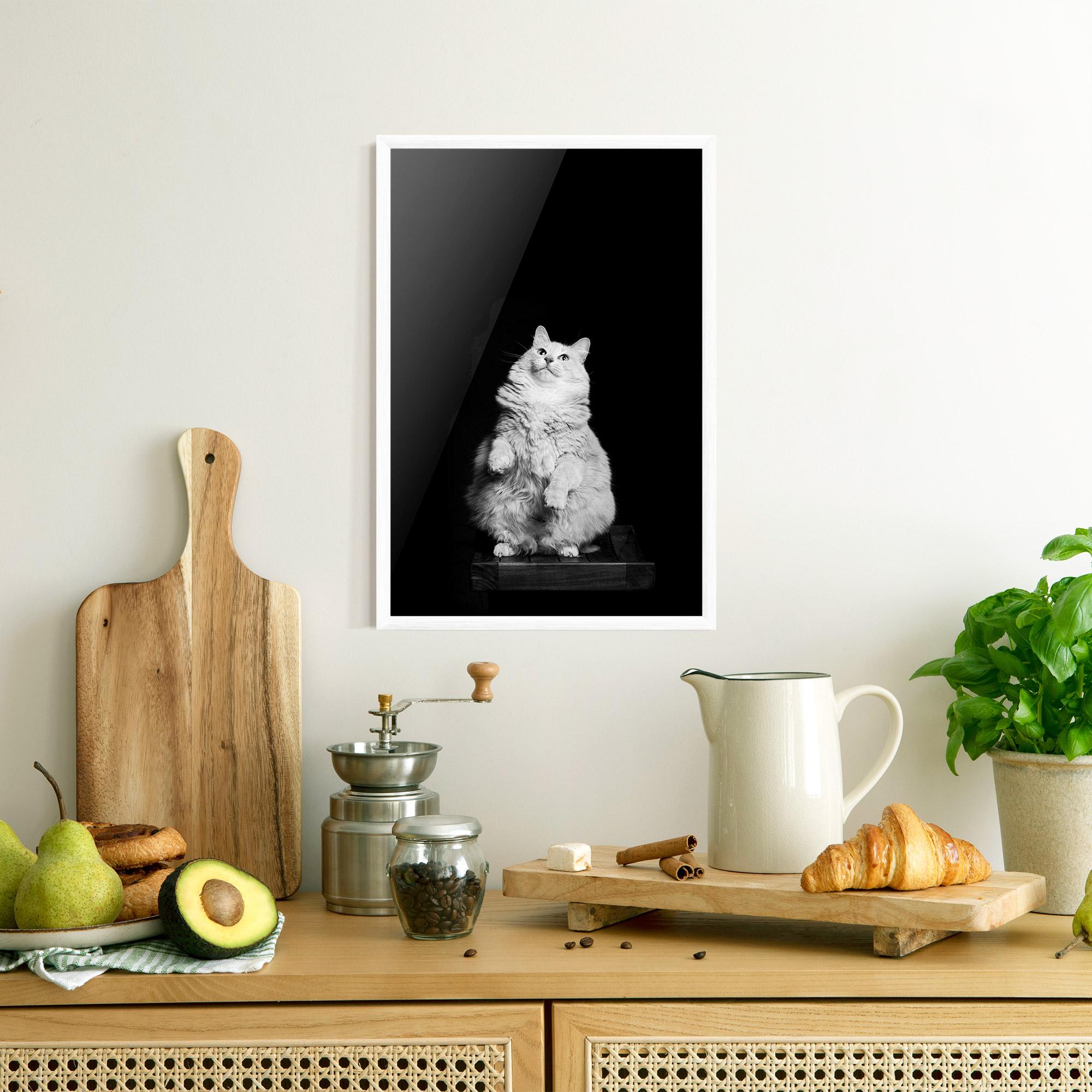 Plakat w Ramie Big Fluffy Cat mockup 8