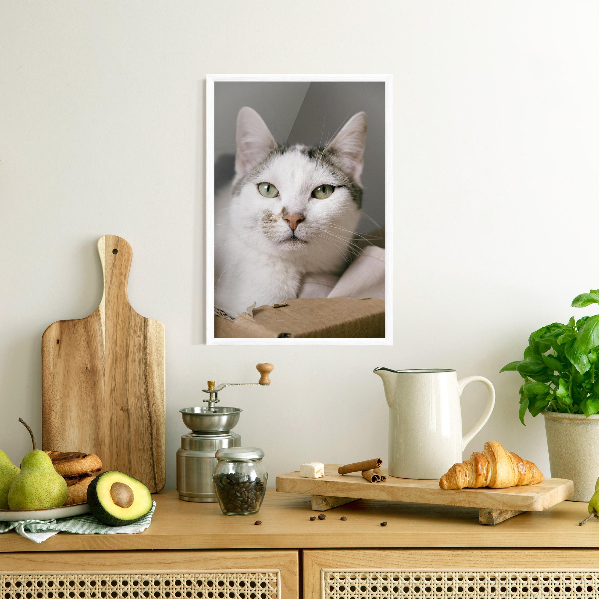Plakat w Ramie Big Sleepy Cat mockup 8