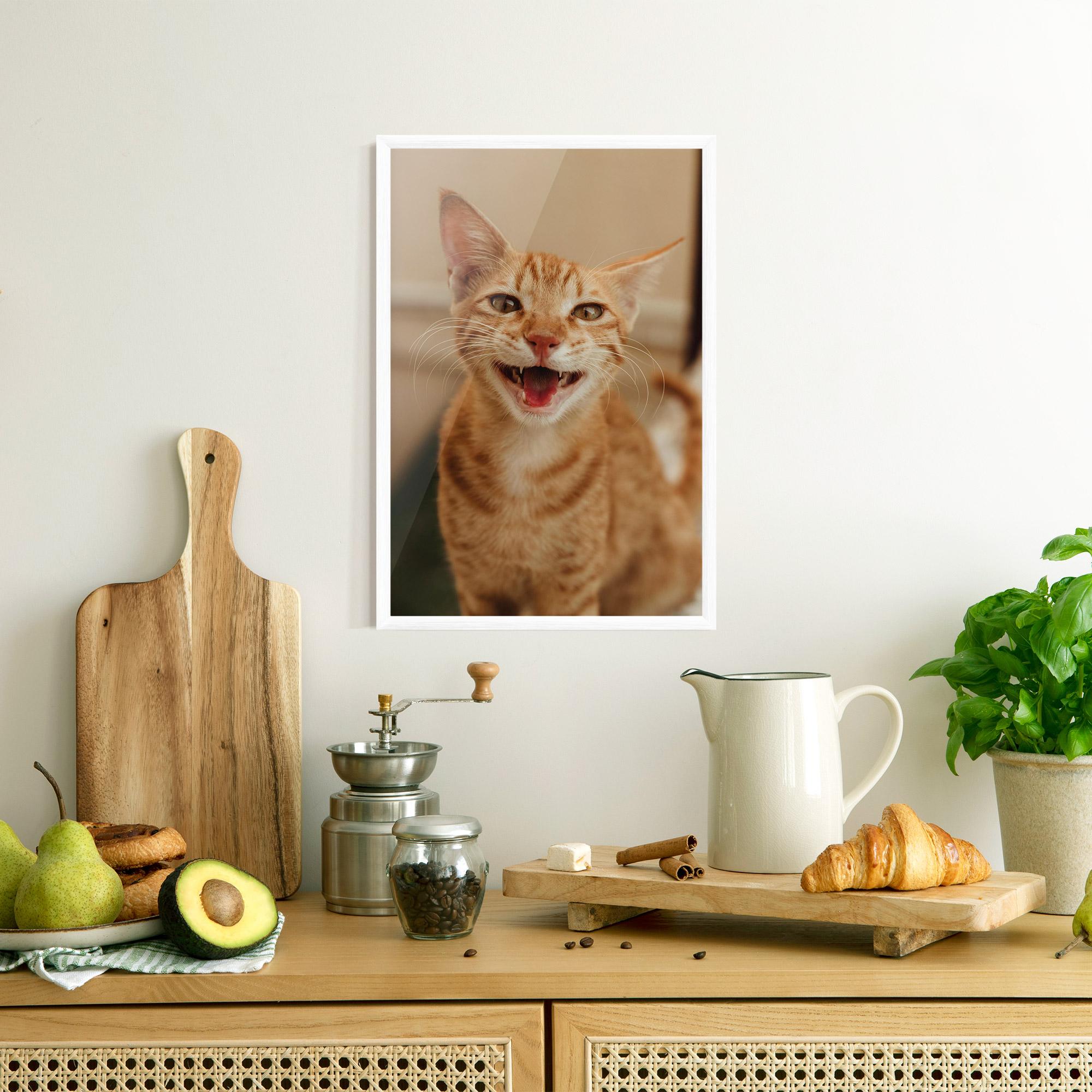 Plakat w Ramie Orange Cat Smiling mockup 8