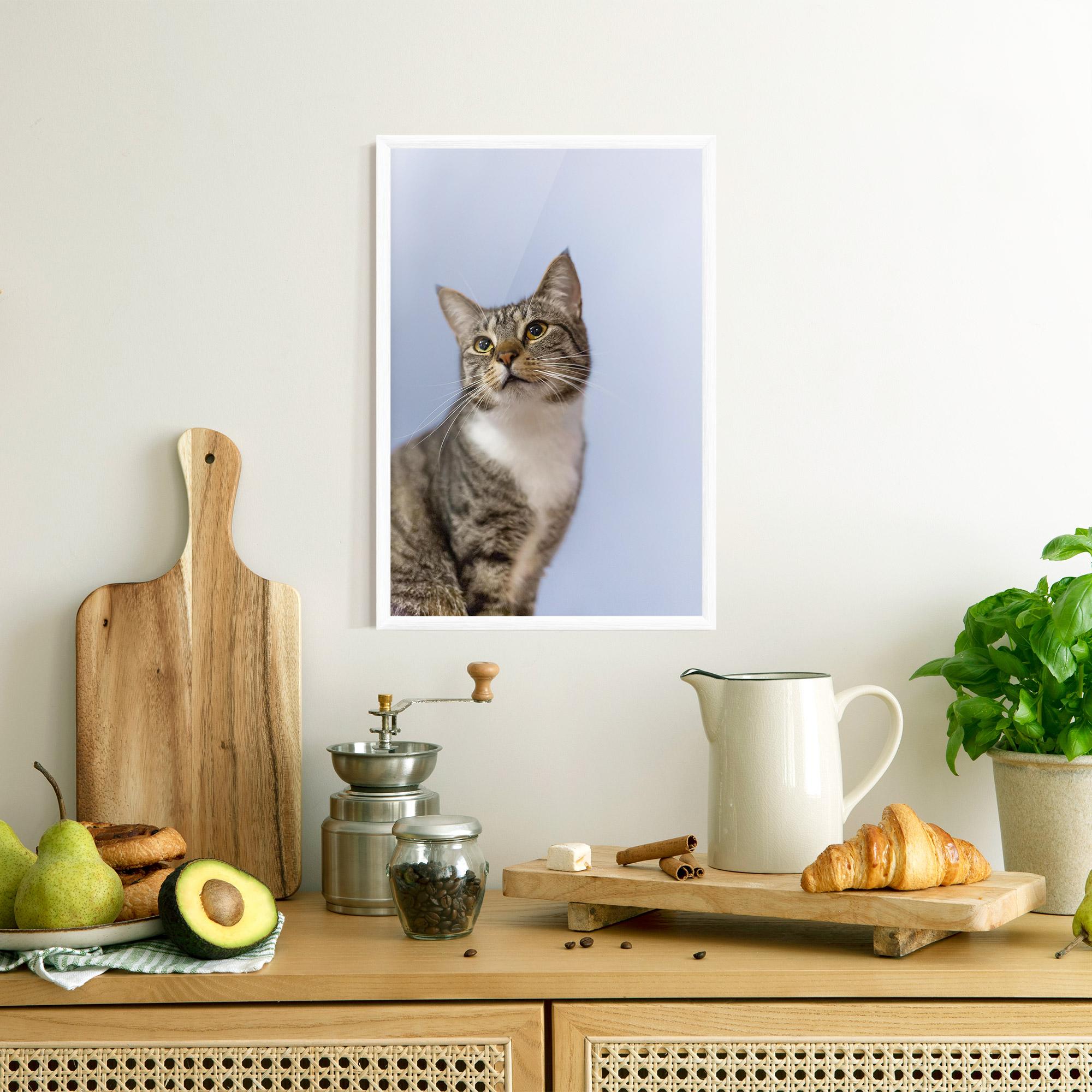 Plakat w Ramie Yellow Eyes Cat mockup 8