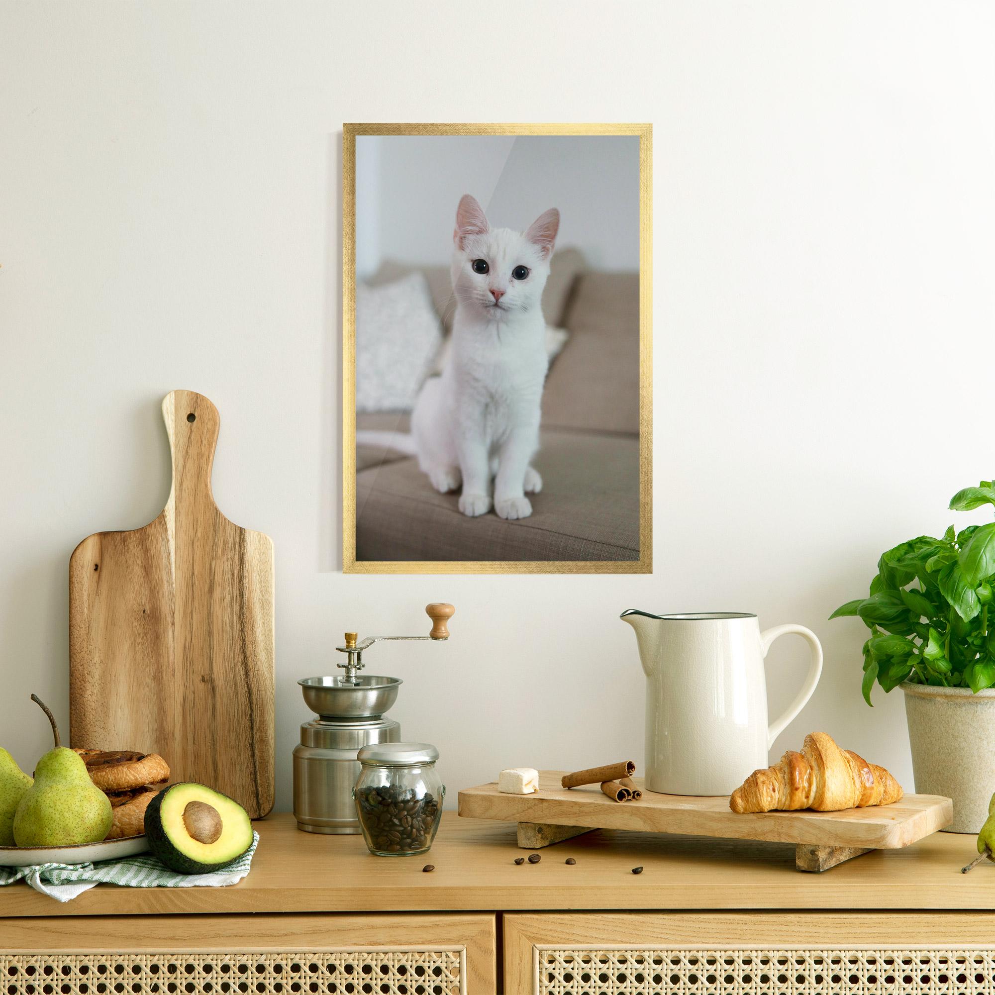 Plakat w Ramie Beautiful White Cat mockup 8