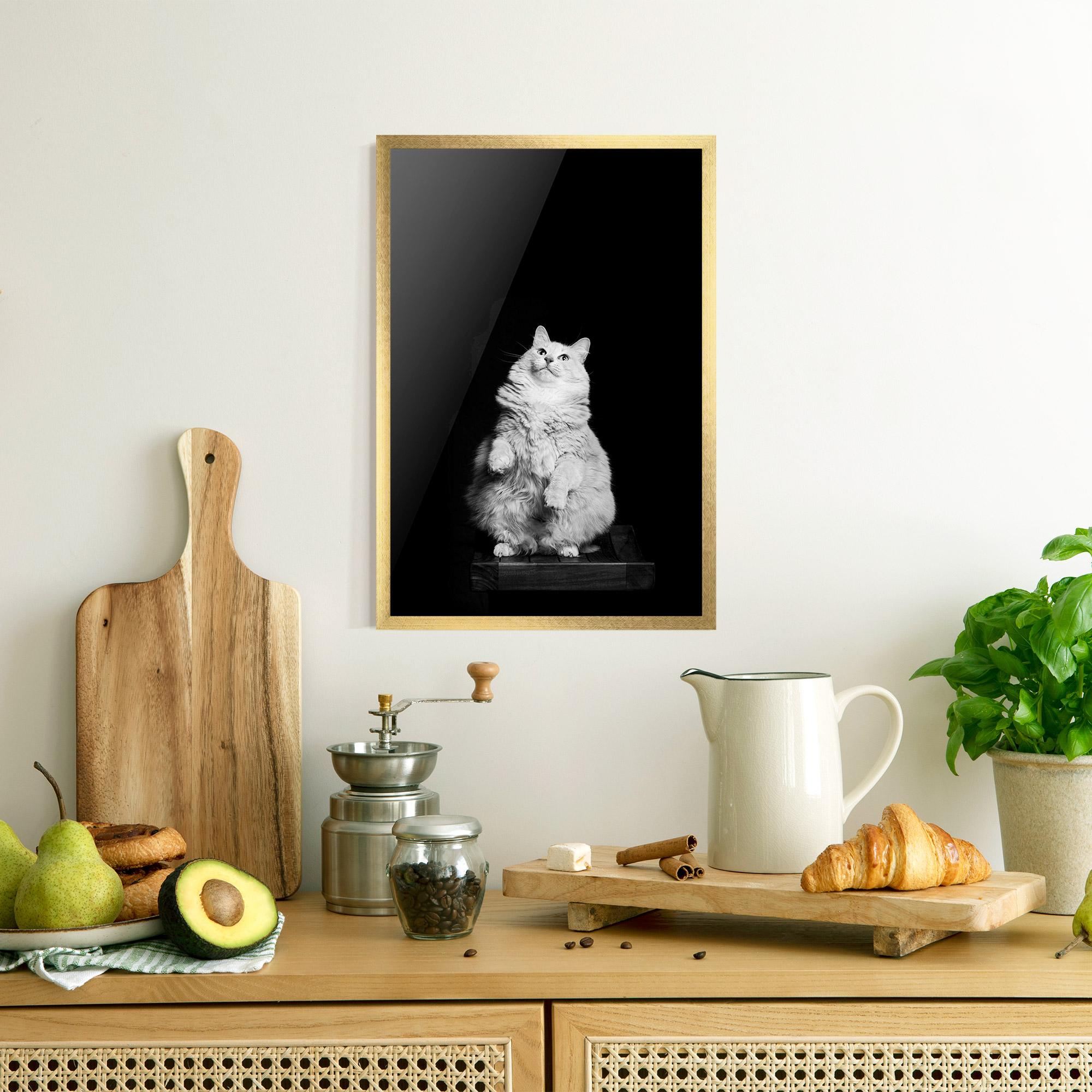 Plakat w Ramie Big Fluffy Cat mockup 8