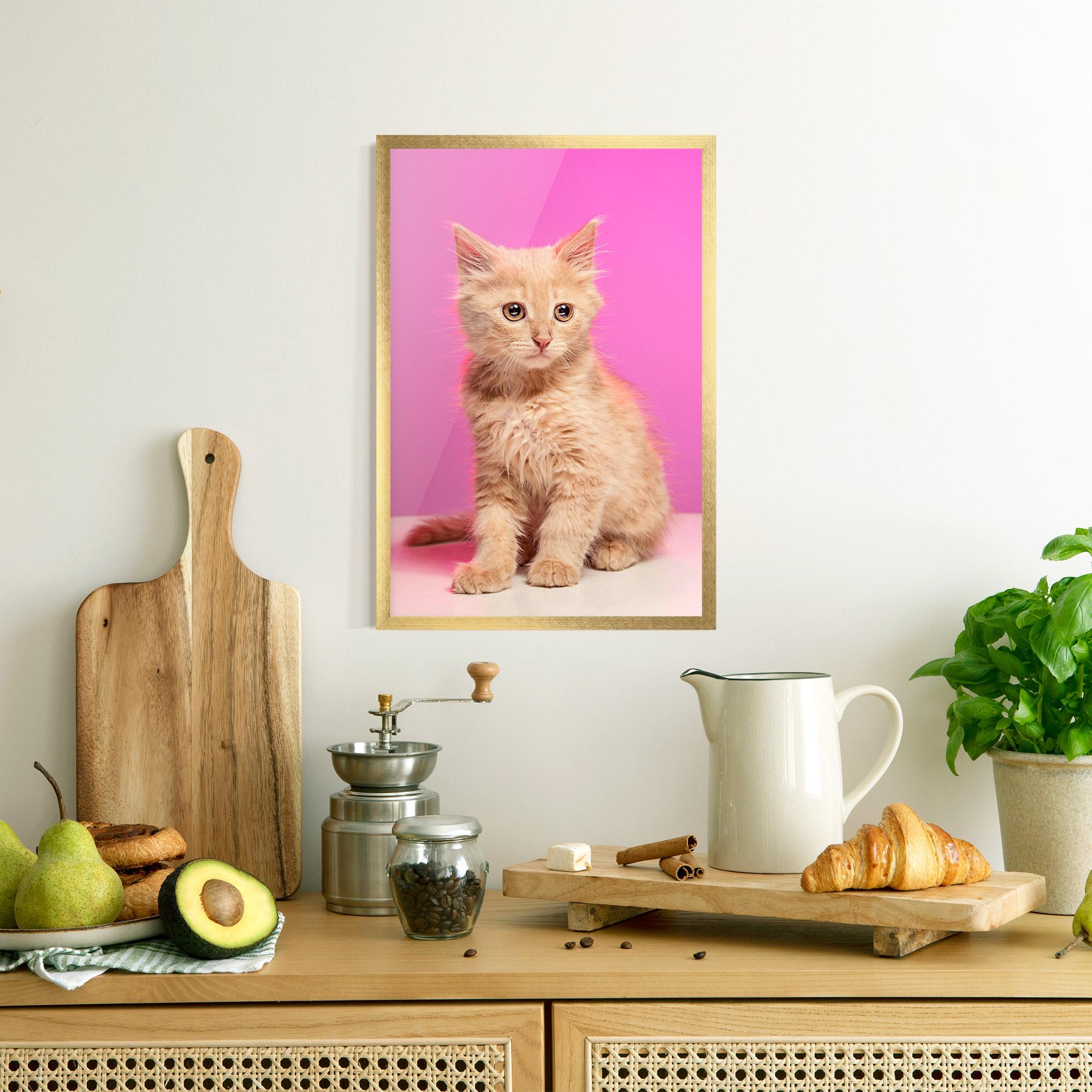 Plakat w Ramie Orange Cat On Pink mockup 8