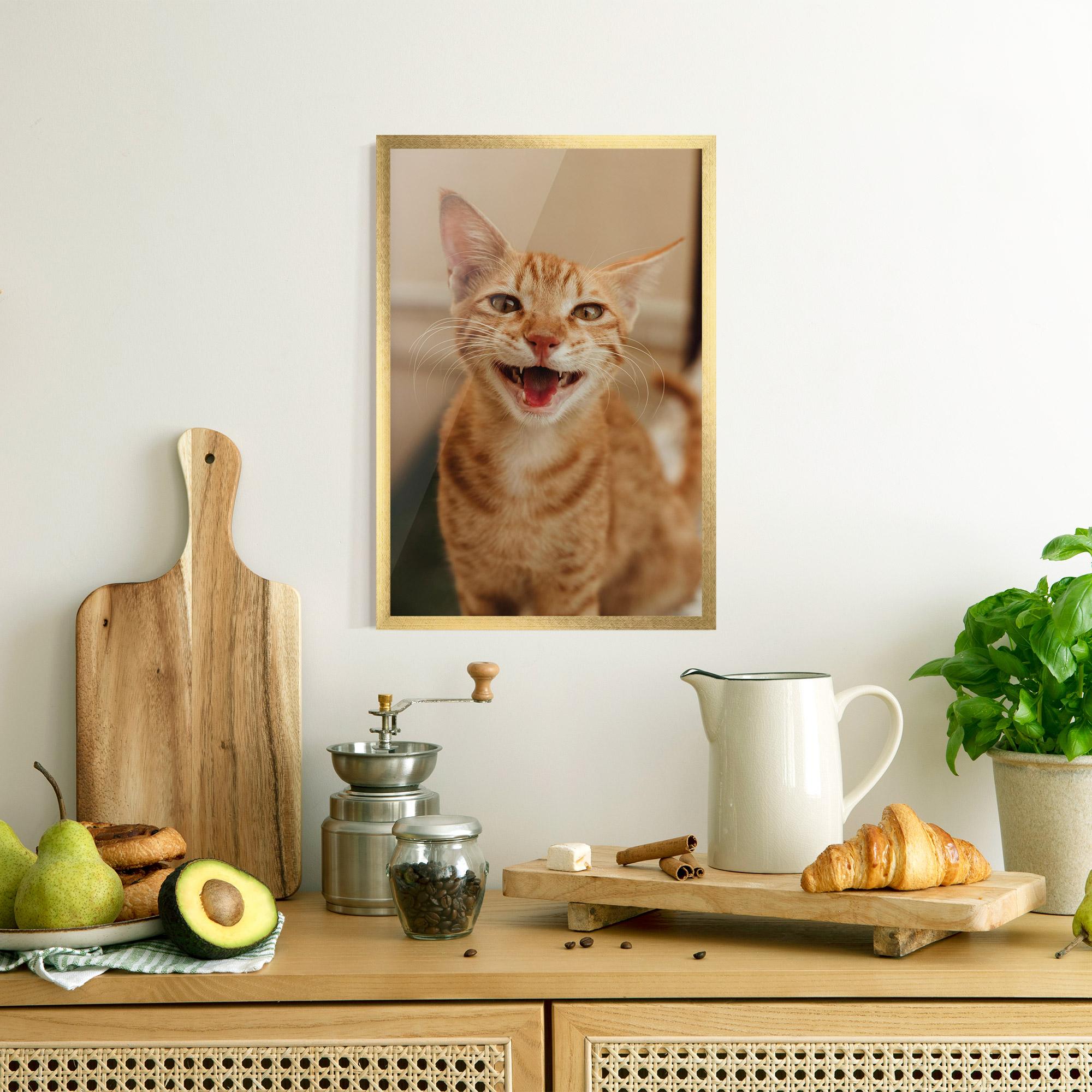 Plakat w Ramie Orange Cat Smiling mockup 8