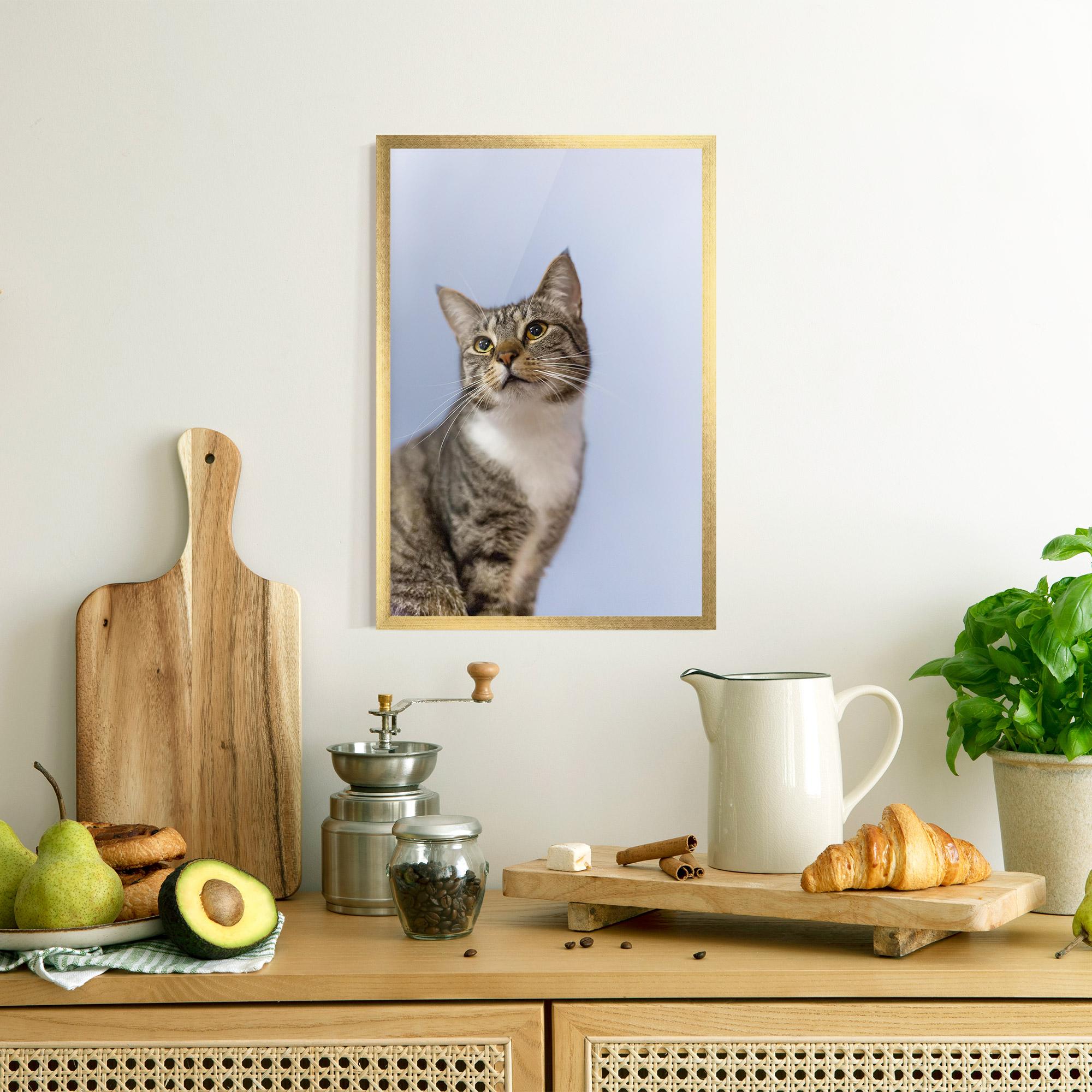 Plakat w Ramie Yellow Eyes Cat mockup 8