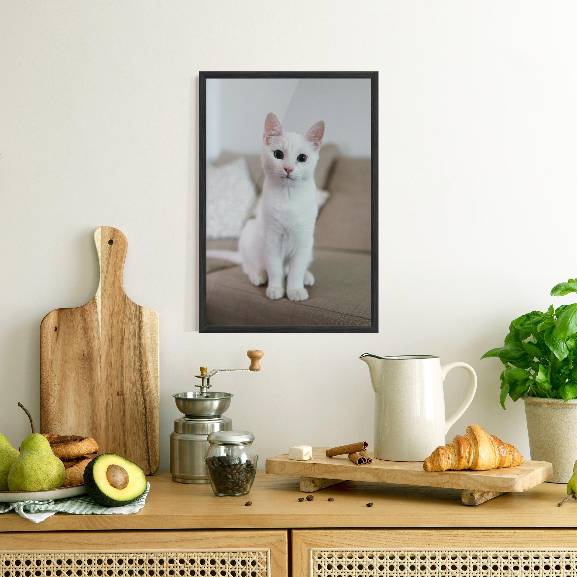 Plakat w Ramie Beautiful White Cat mockup 8