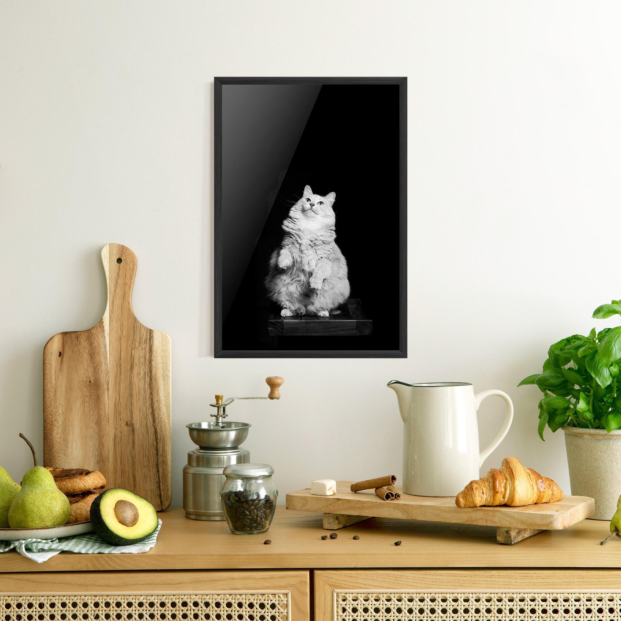 Plakat w Ramie Big Fluffy Cat mockup 8