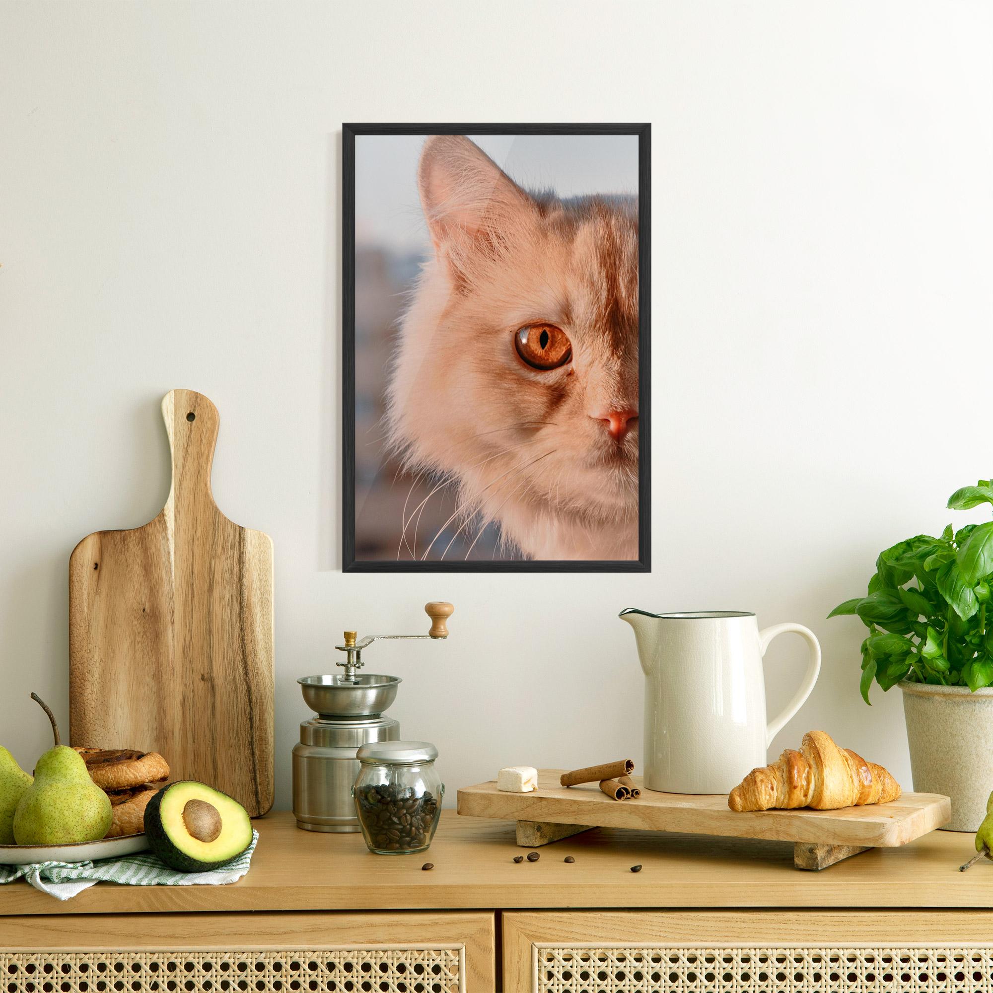 Plakat w Ramie Cat Eye In Sun mockup 8