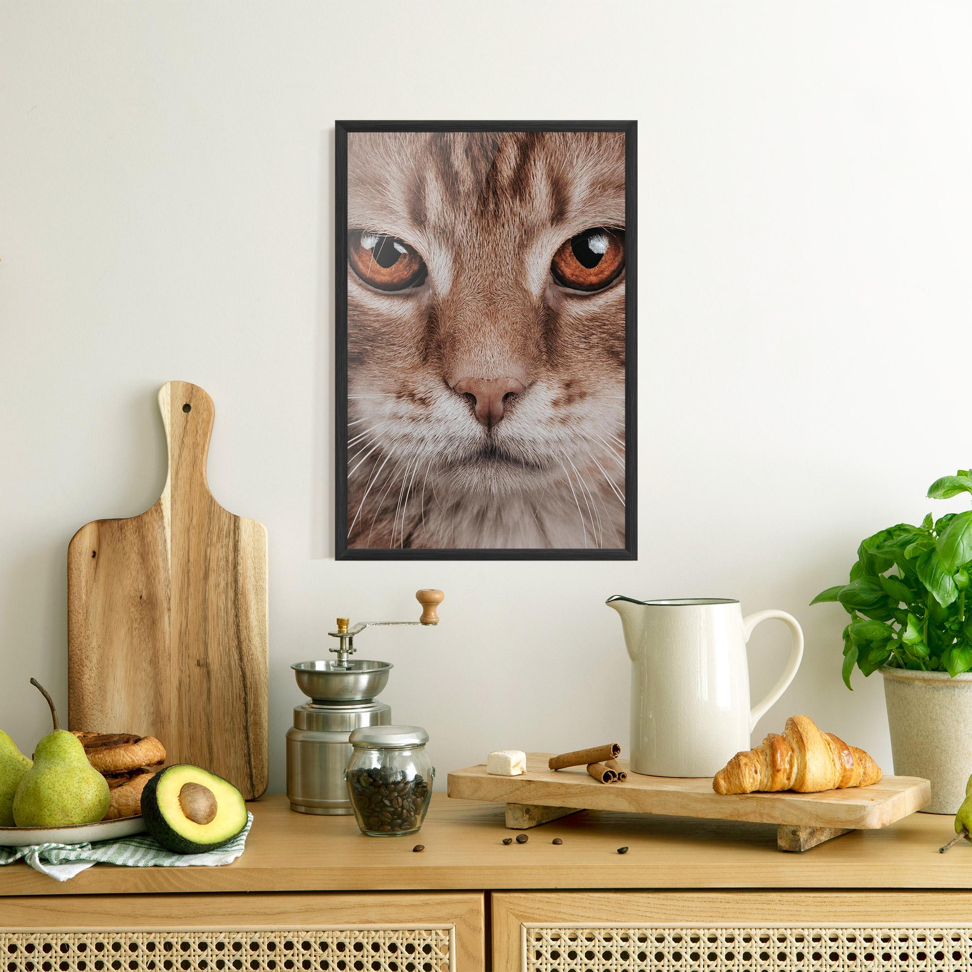 Plakat w Ramie Fire Eyes Cat mockup 8