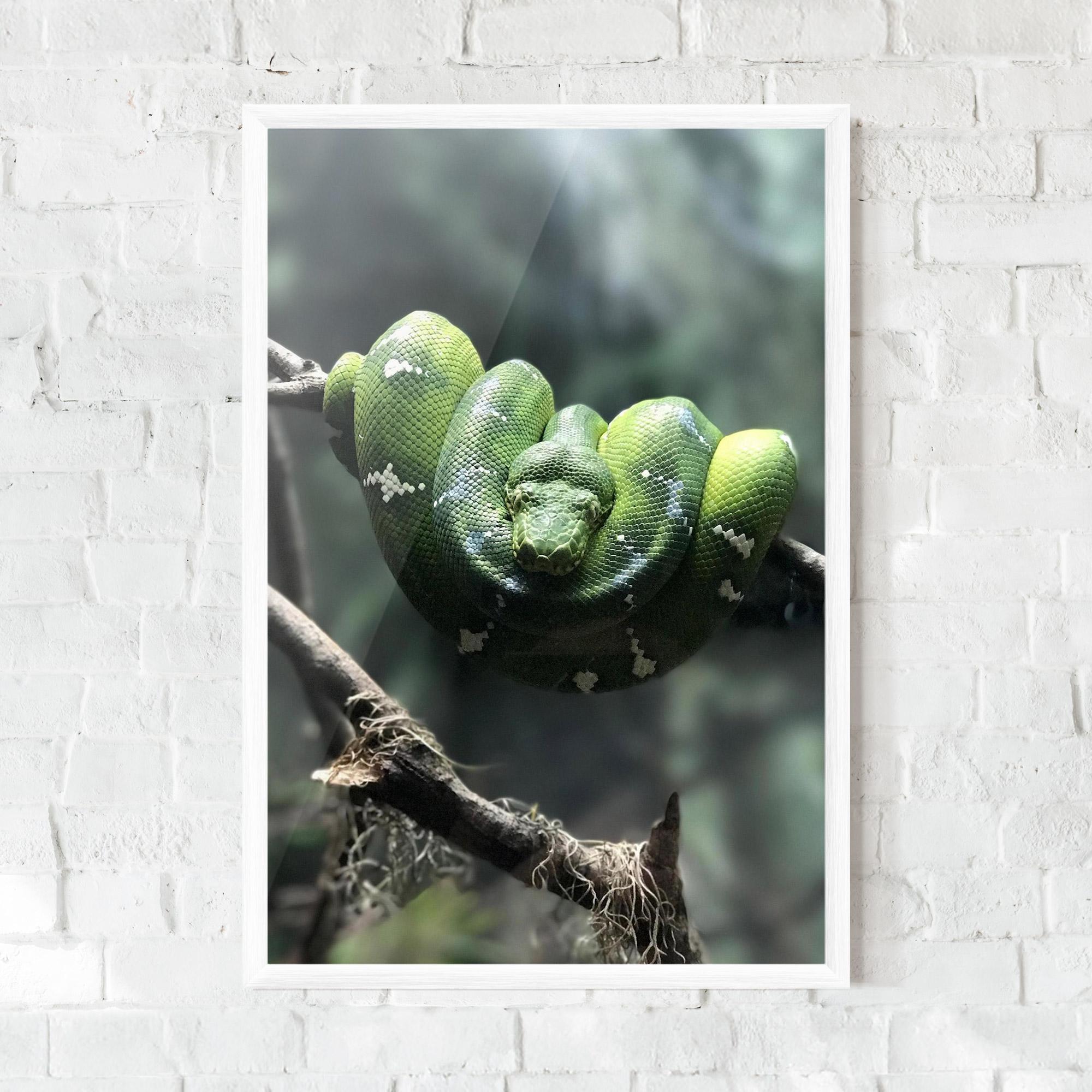 Plakat w Ramie Sleepy Snake mockup 0