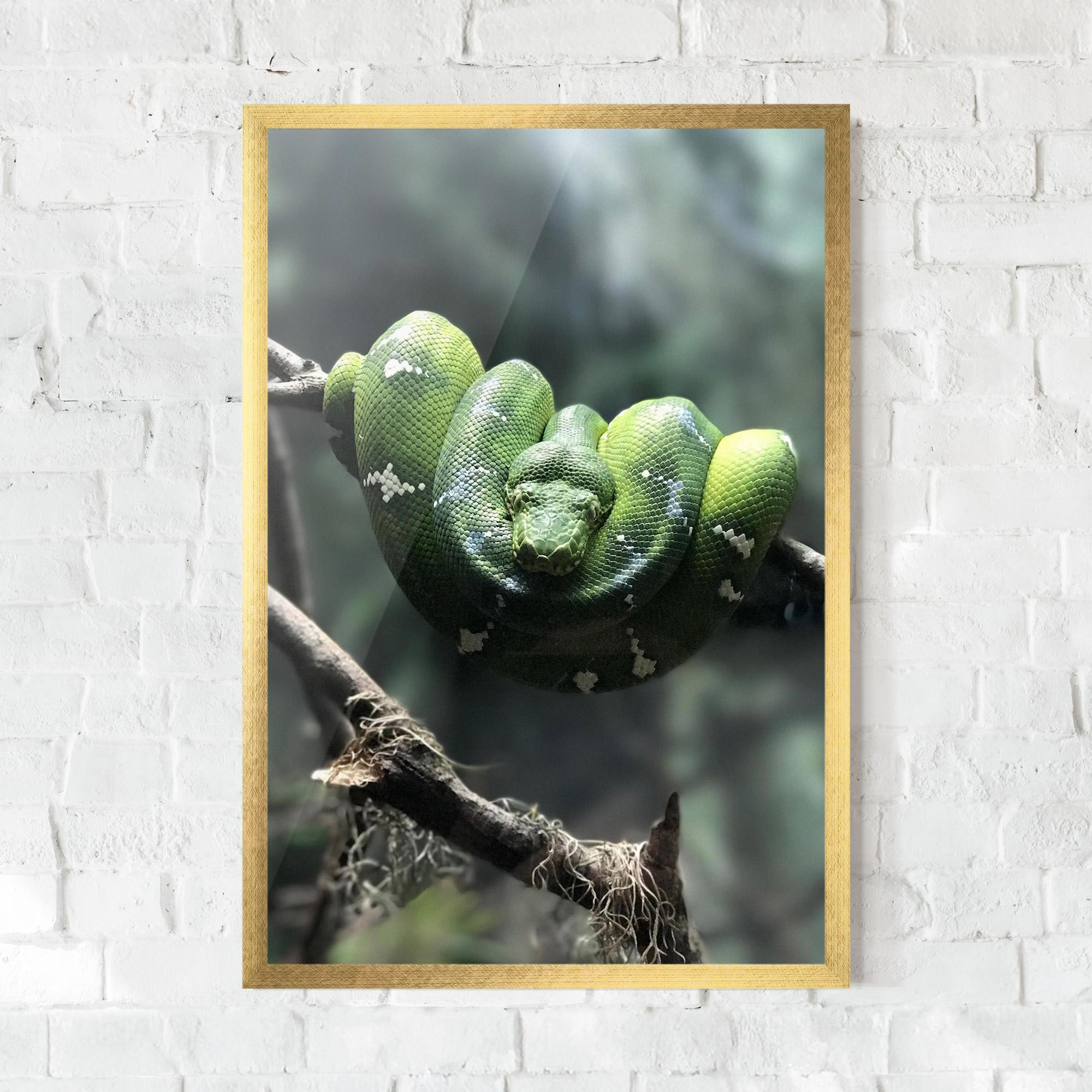 Plakat w Ramie Sleepy Snake mockup 0