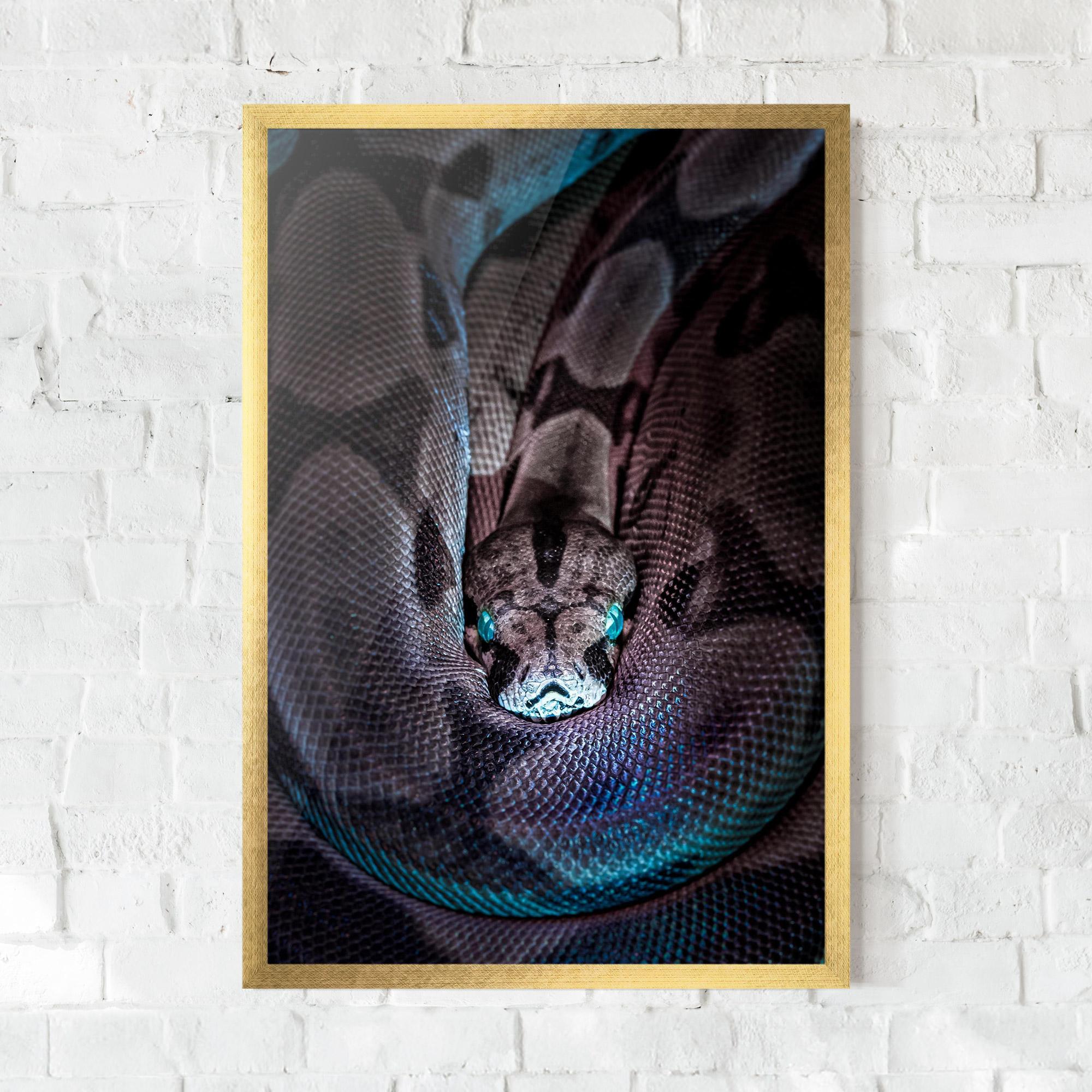 Plakat w Ramie Vibrant Snake mockup 0