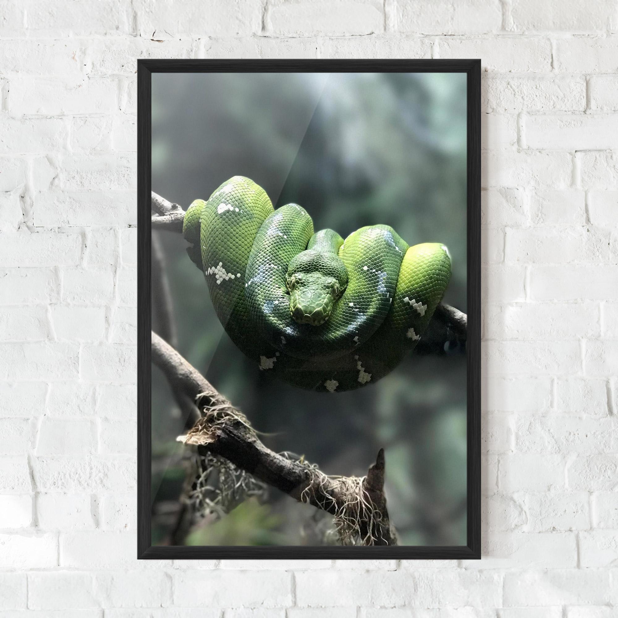 Plakat w Ramie Sleepy Snake mockup 0