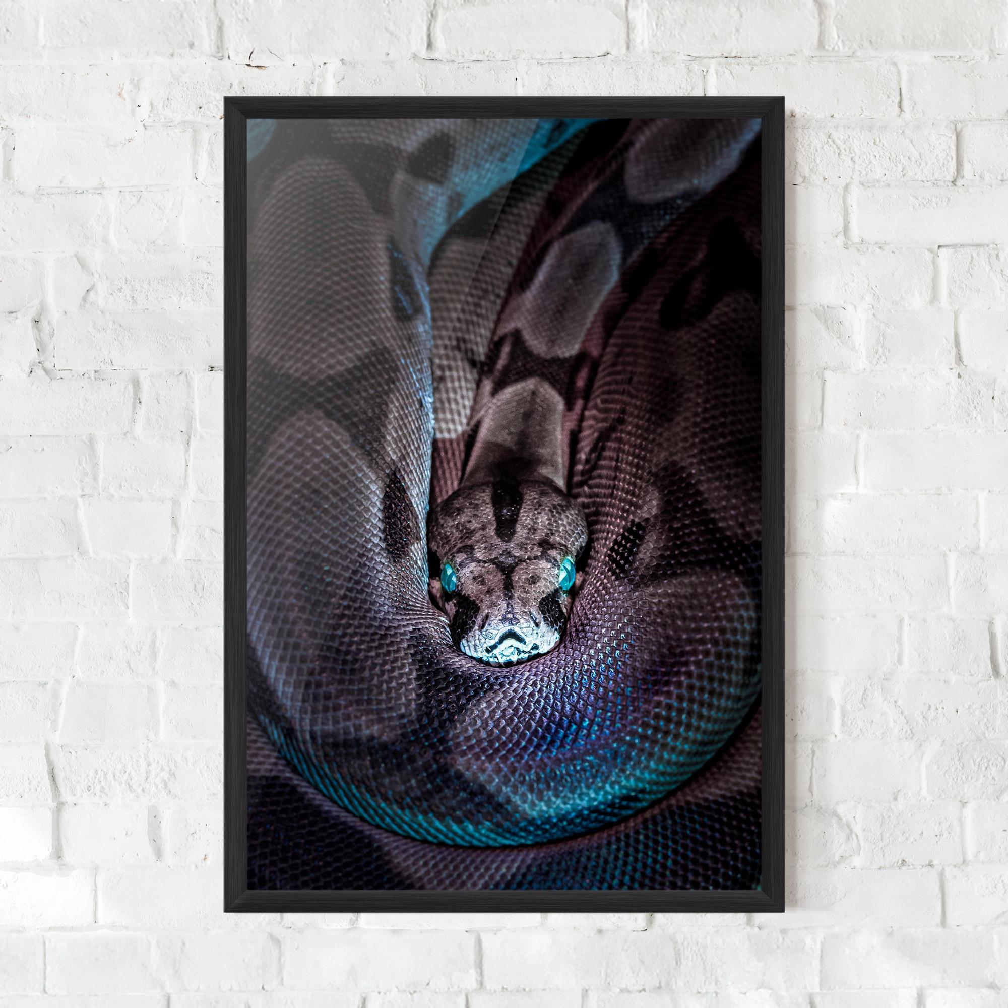 Plakat w Ramie Vibrant Snake mockup 0