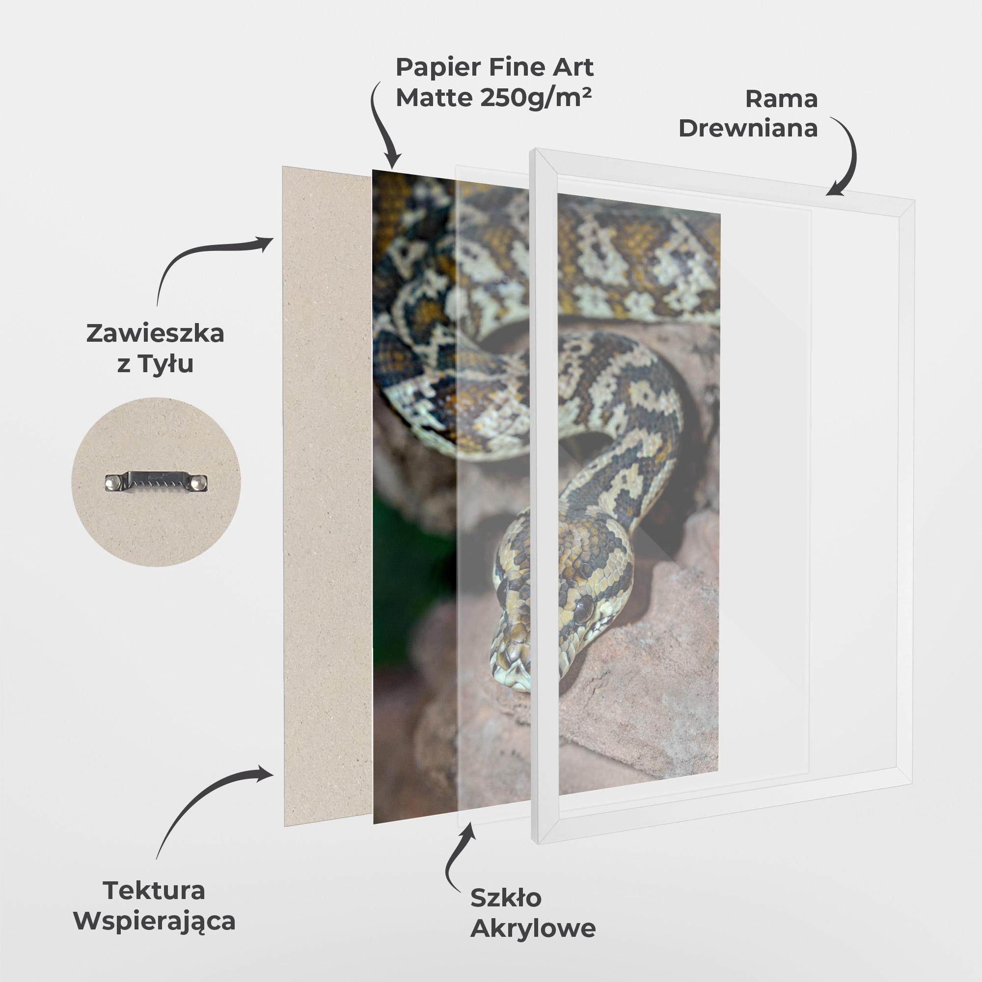 Plakat w Ramie King Snake mockup 1
