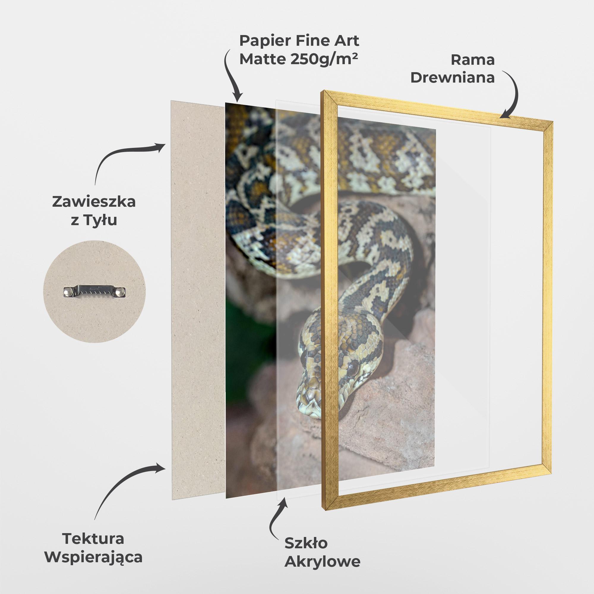 Plakat w Ramie King Snake mockup 1