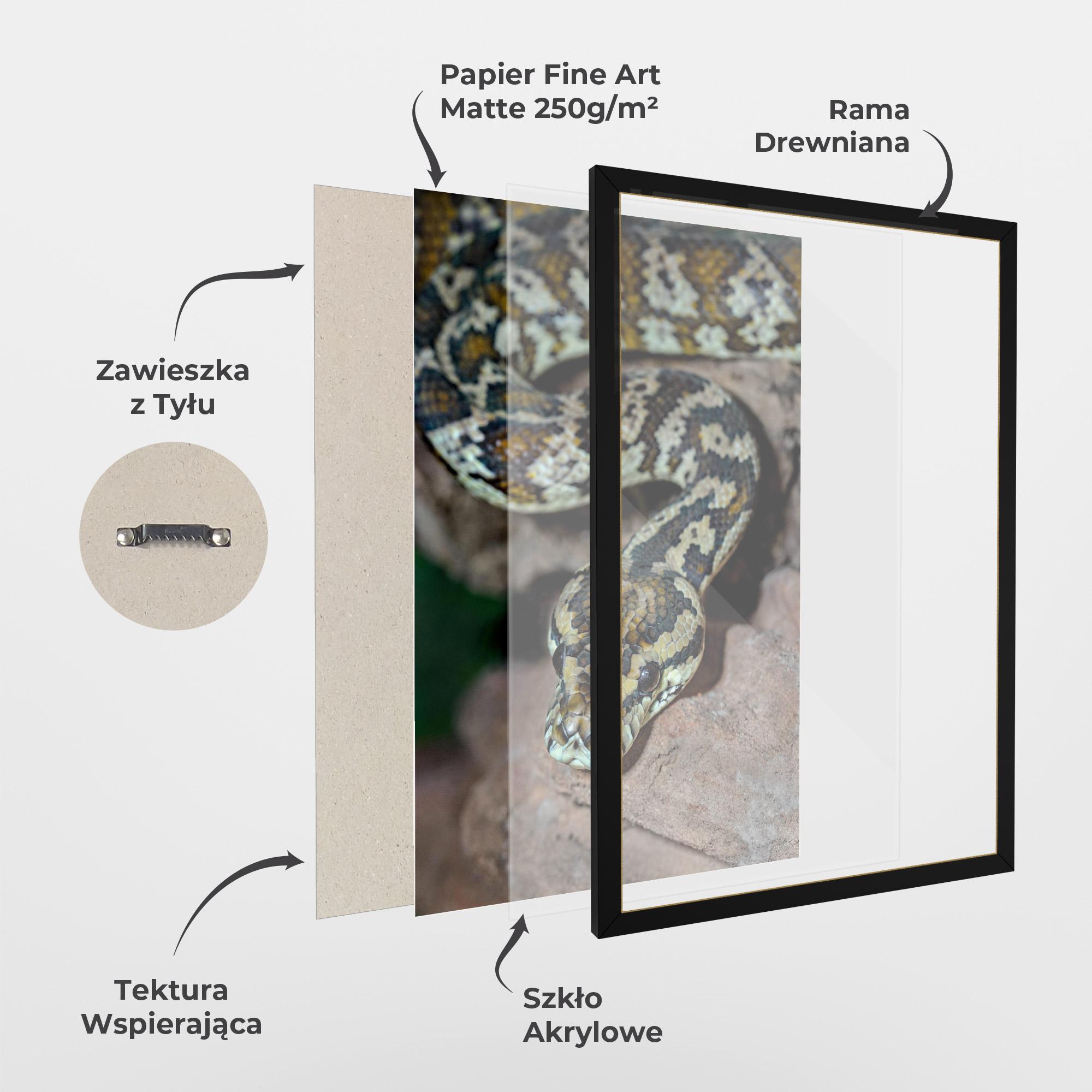 Plakat w Ramie King Snake mockup 1