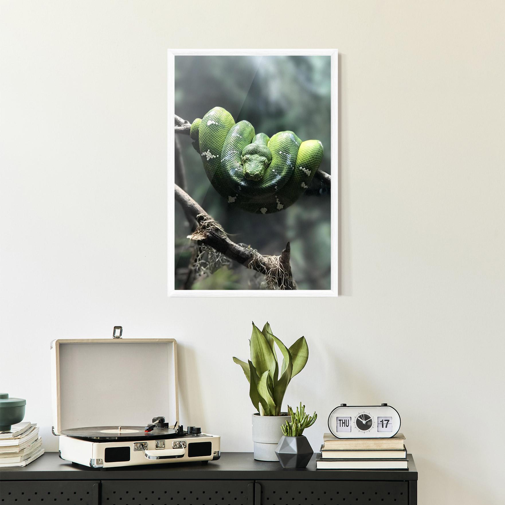 Plakat w Ramie Sleepy Snake mockup 2