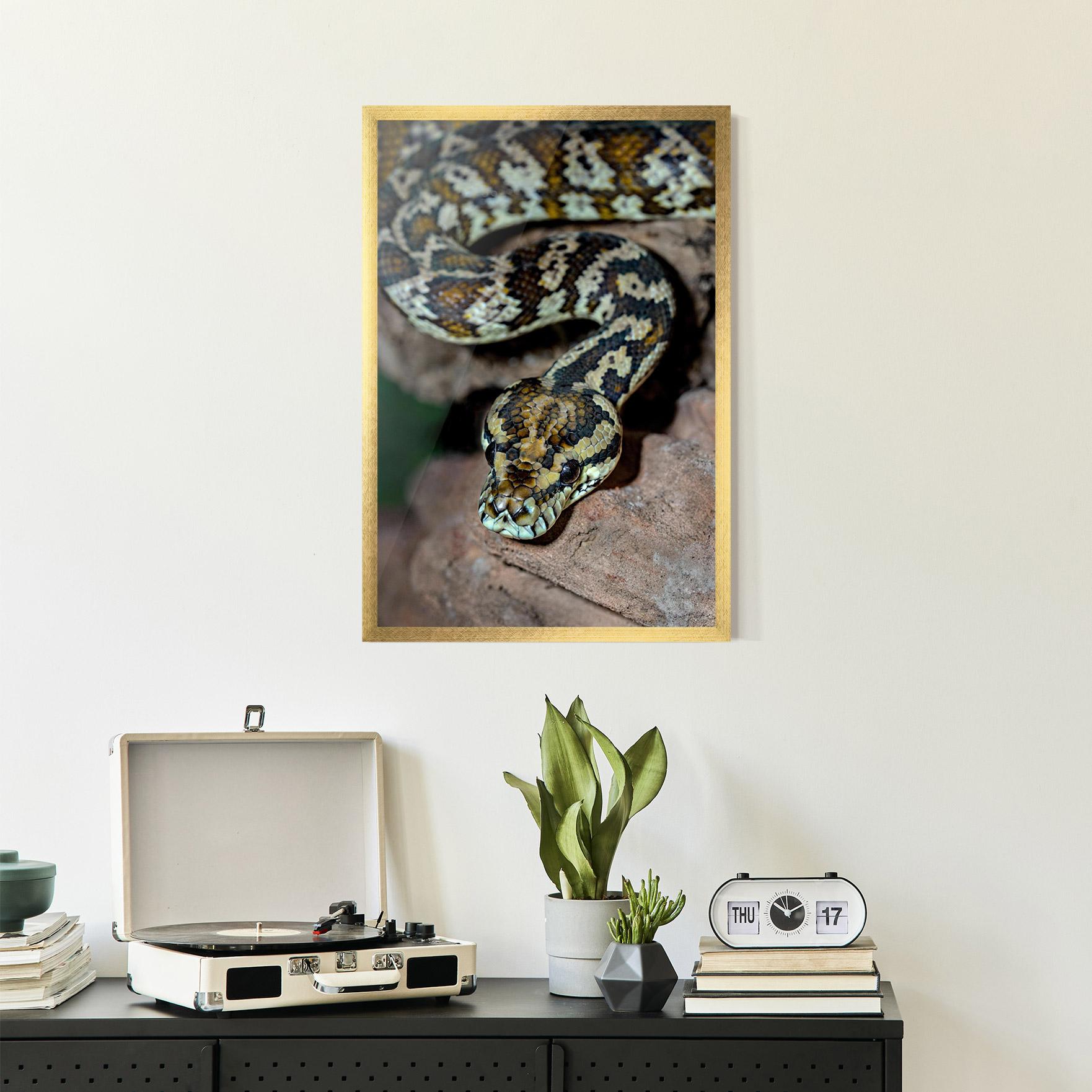 Plakat w Ramie King Snake mockup 2