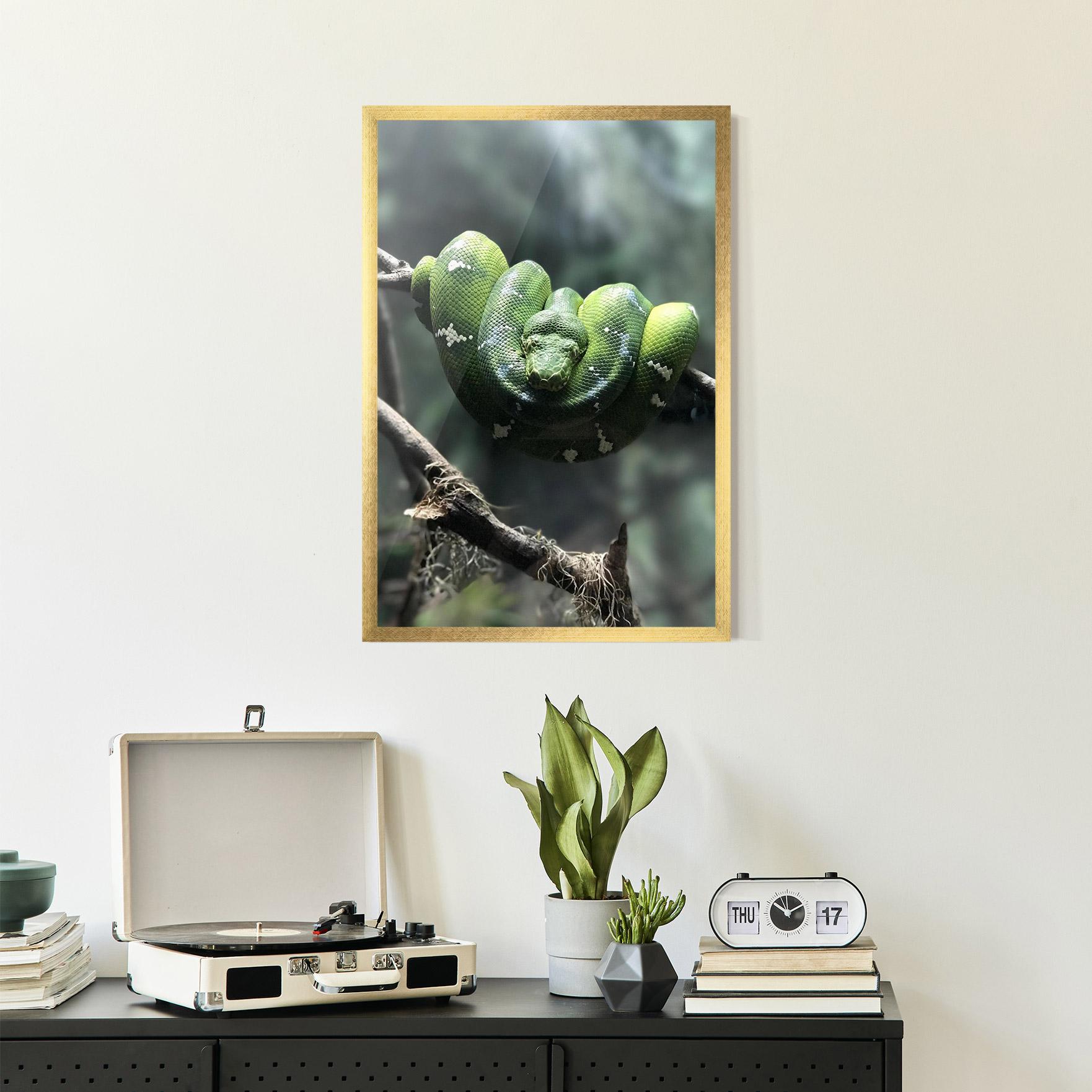 Plakat w Ramie Sleepy Snake mockup 2