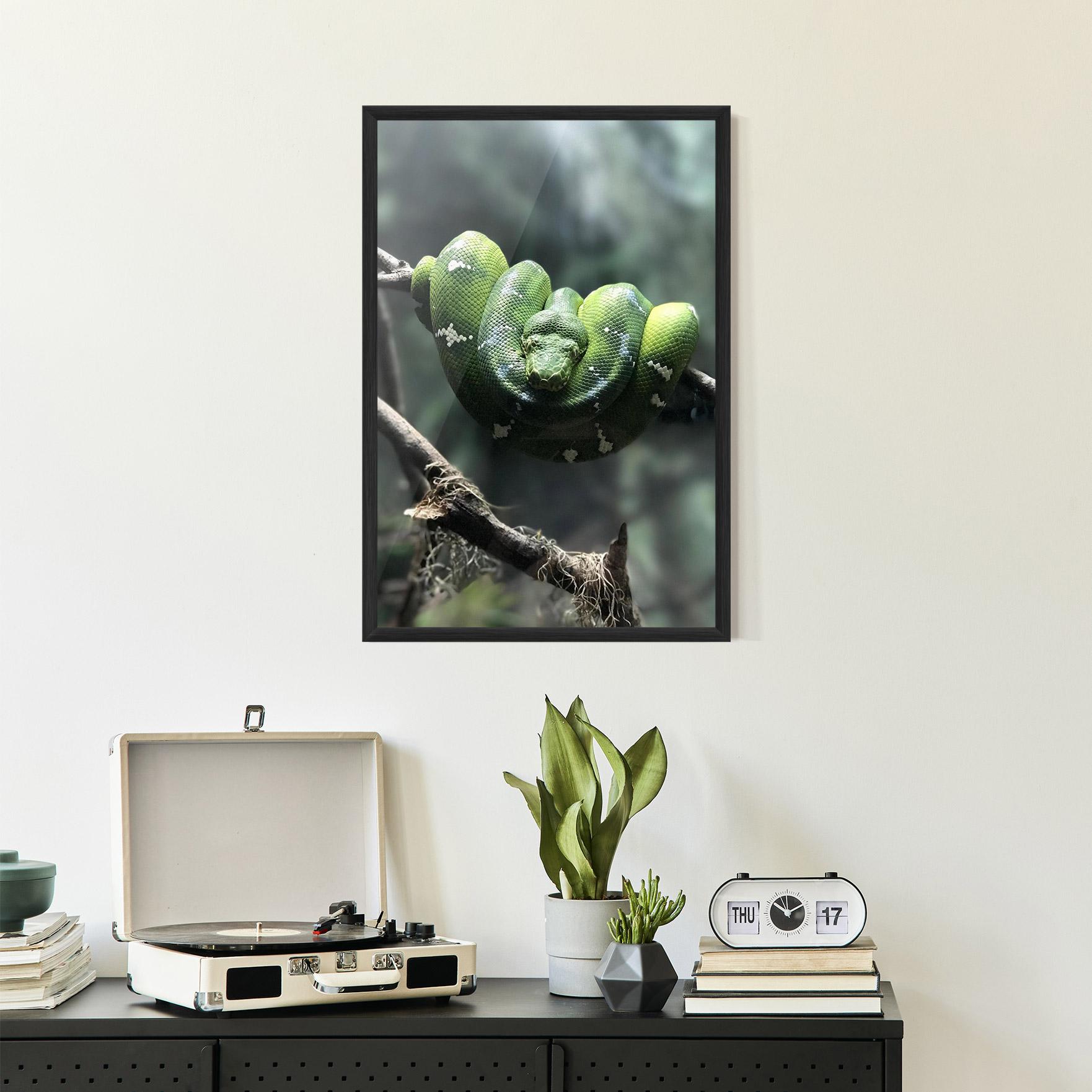 Plakat w Ramie Sleepy Snake mockup 2