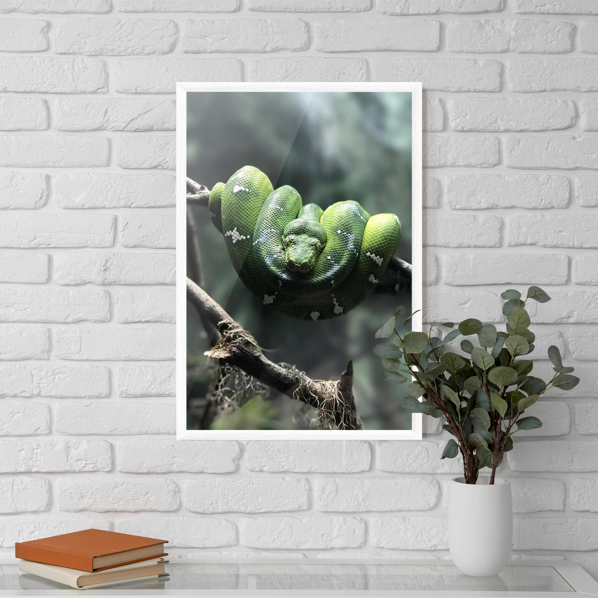 Plakat w Ramie Sleepy Snake mockup 5