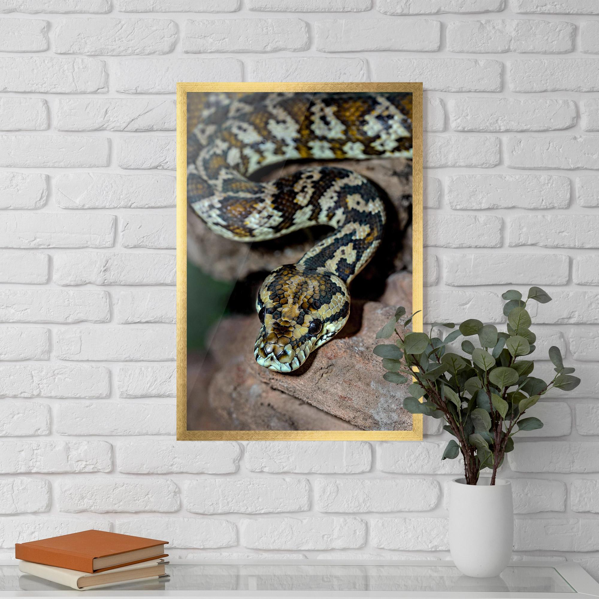 Plakat w Ramie King Snake mockup 5