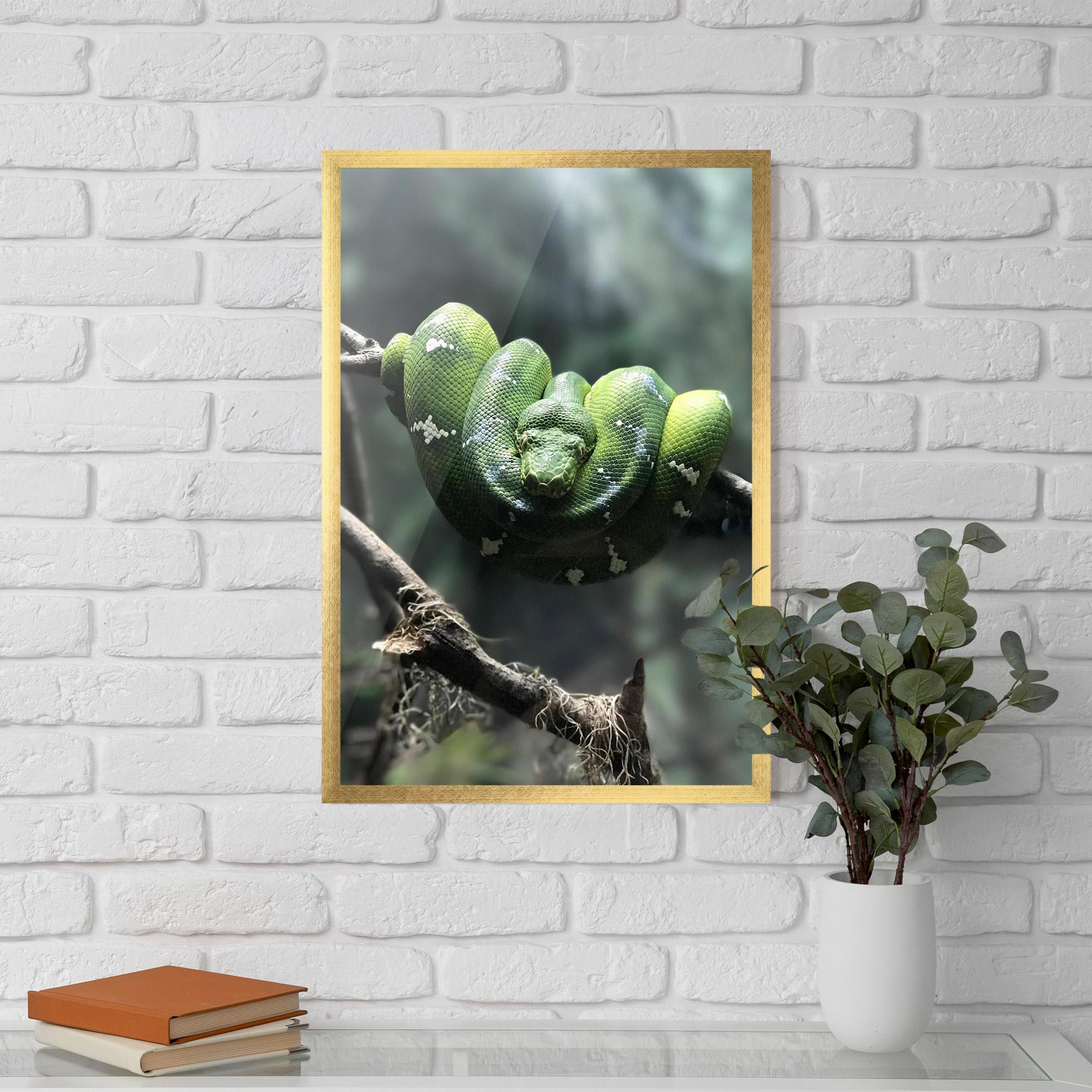 Plakat w Ramie Sleepy Snake mockup 5