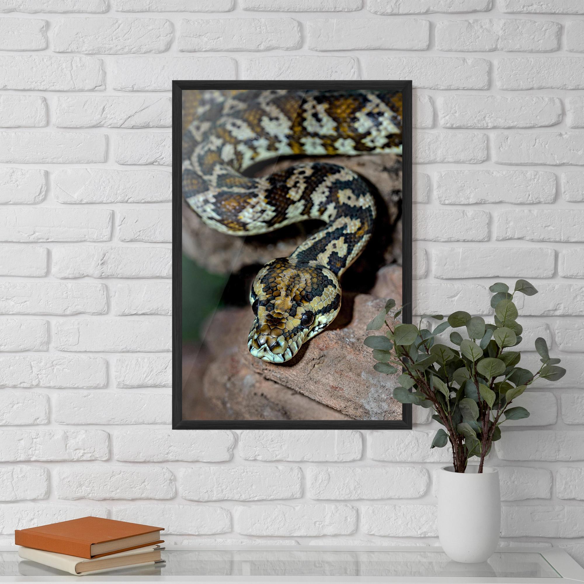 Plakat w Ramie King Snake mockup 5