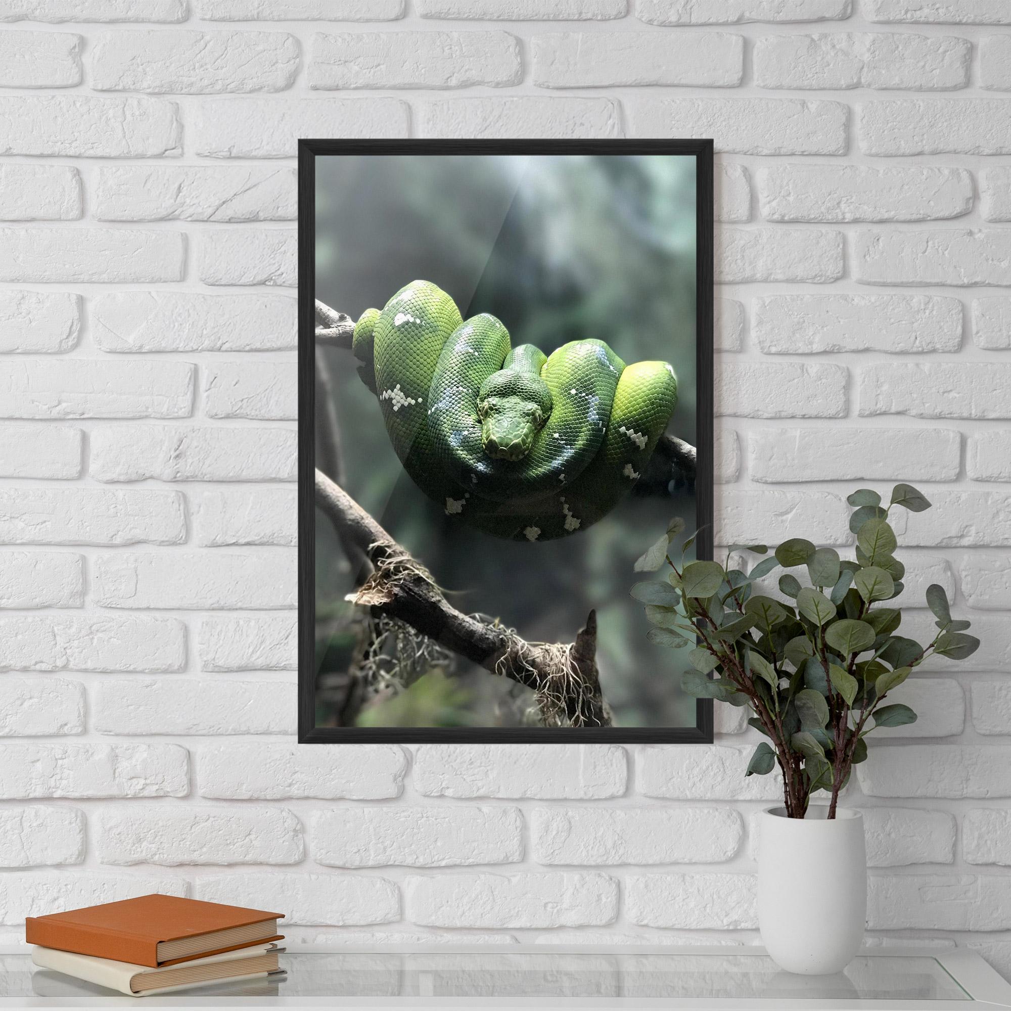 Plakat w Ramie Sleepy Snake mockup 5