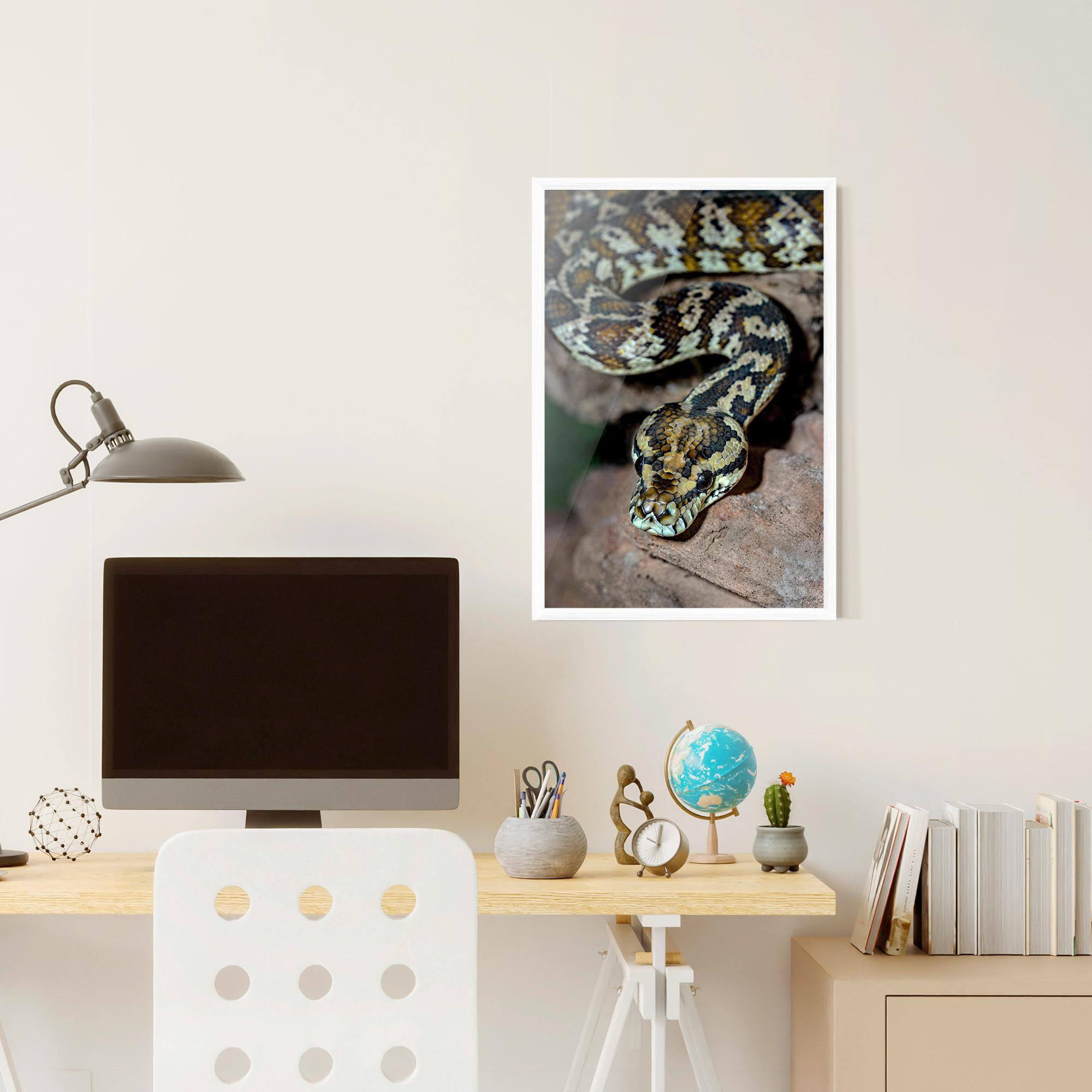 Plakat w Ramie King Snake mockup 6