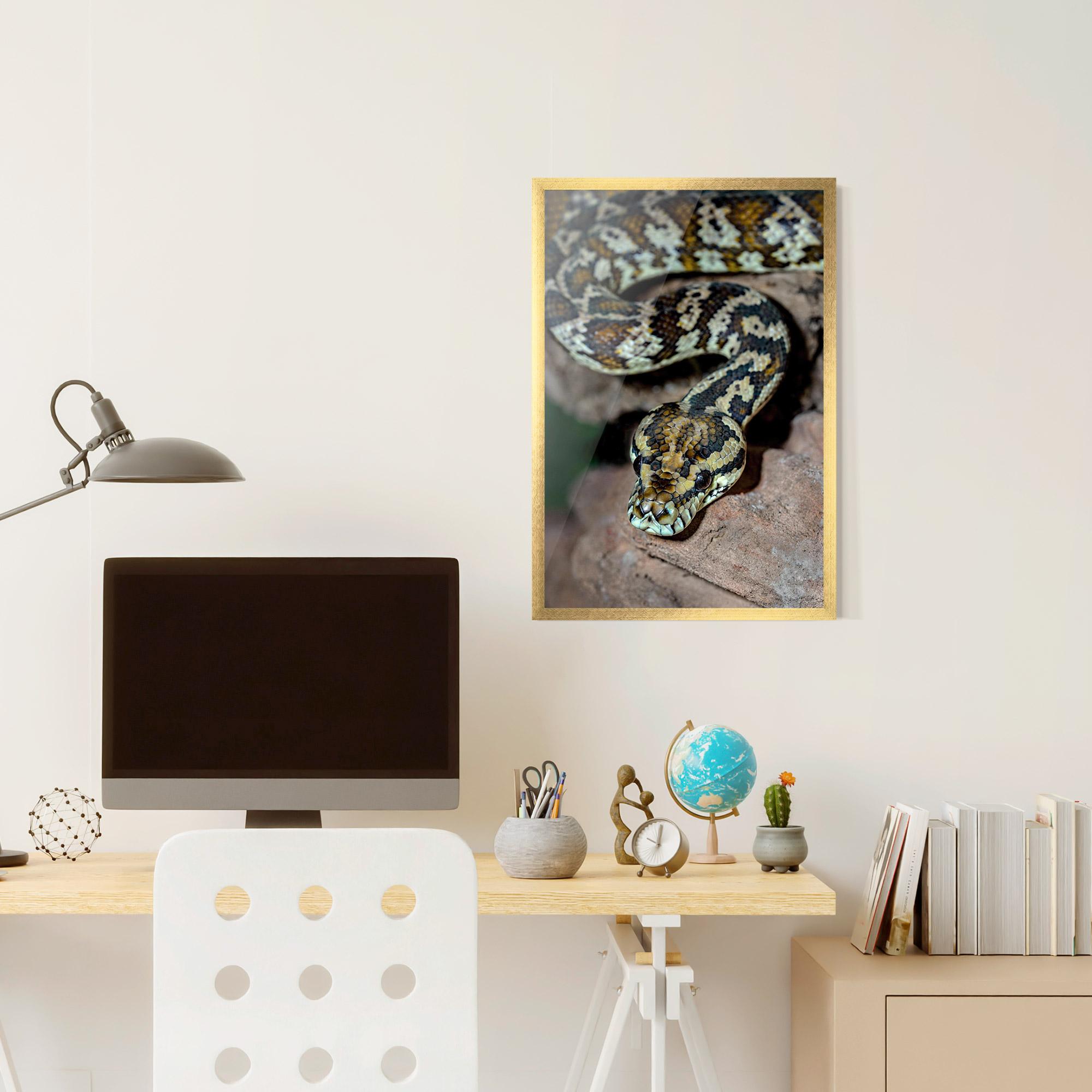 Plakat w Ramie King Snake mockup 6