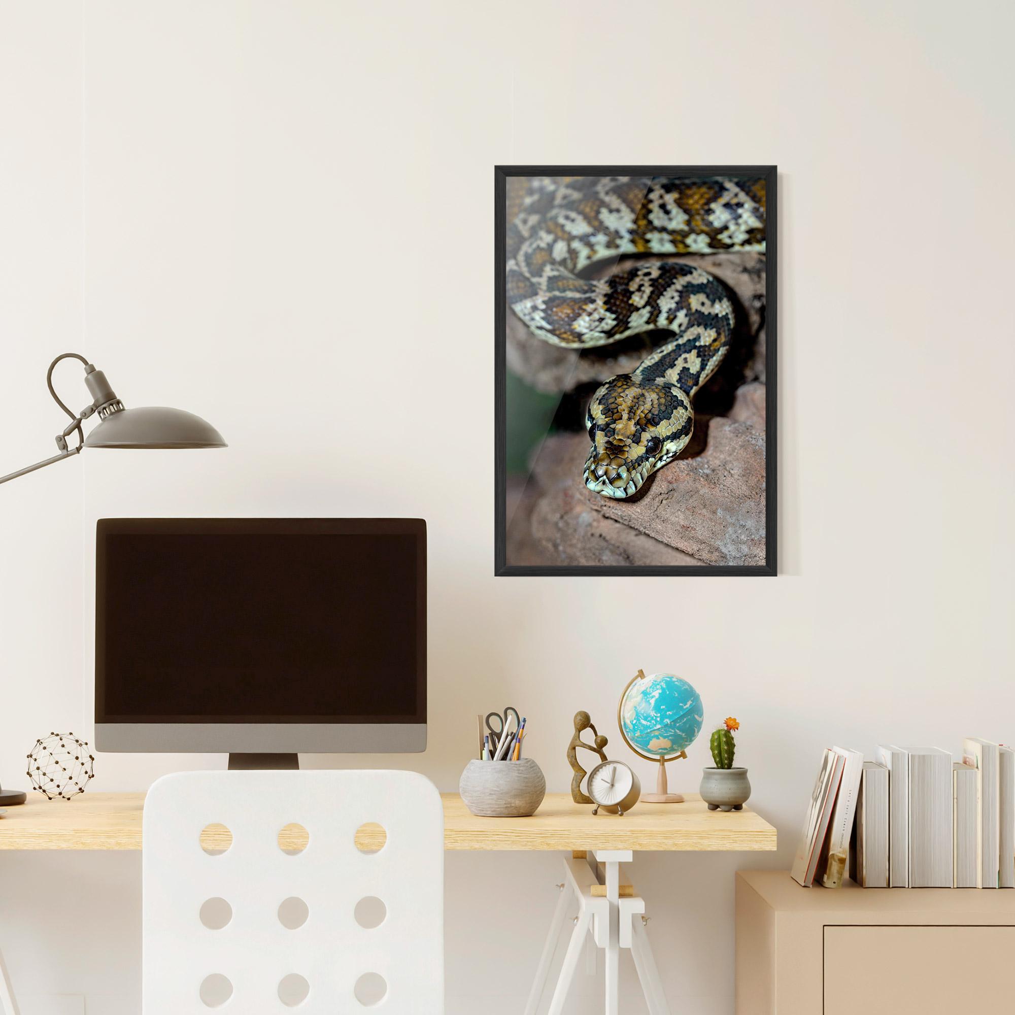 Plakat w Ramie King Snake mockup 6