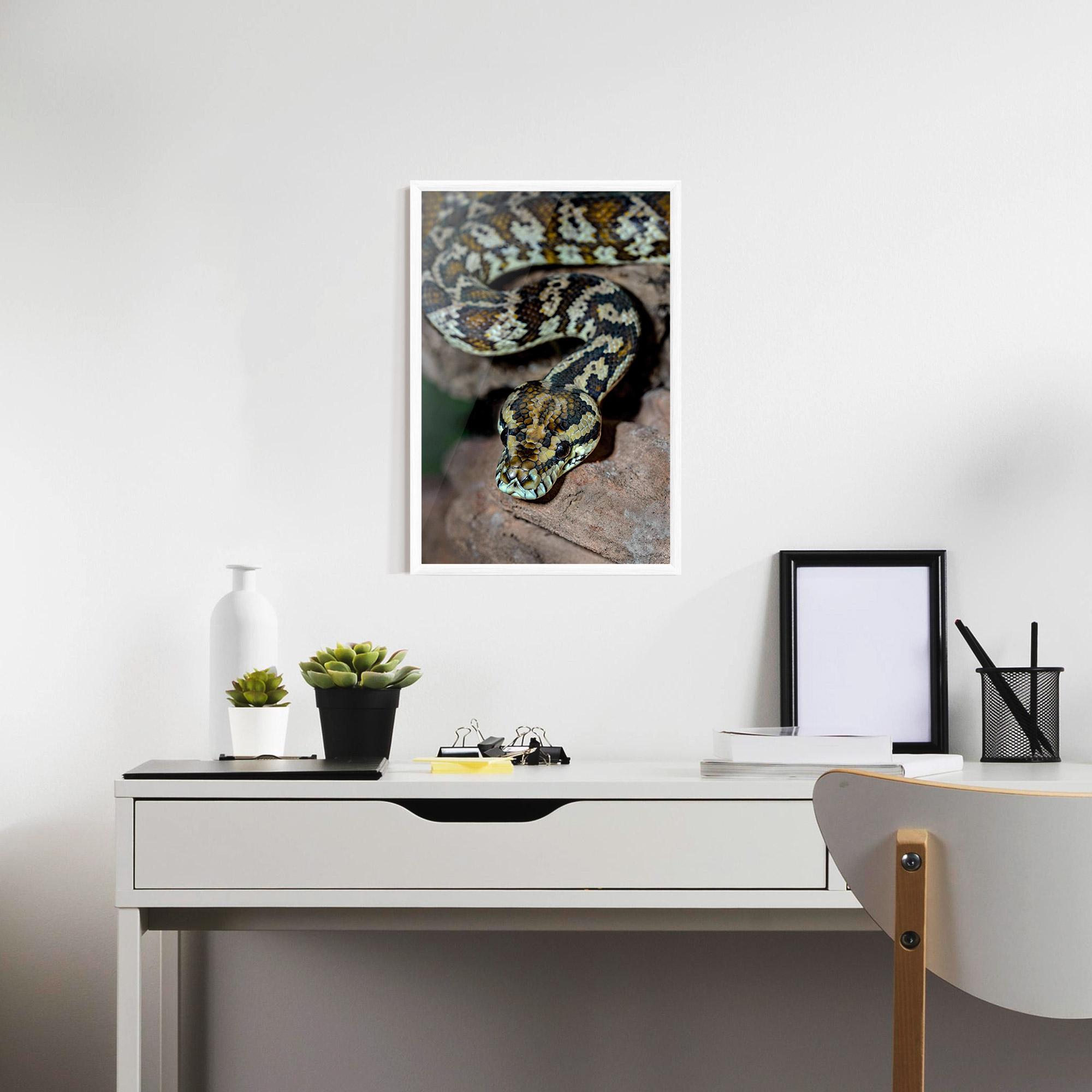 Plakat w Ramie King Snake mockup 7