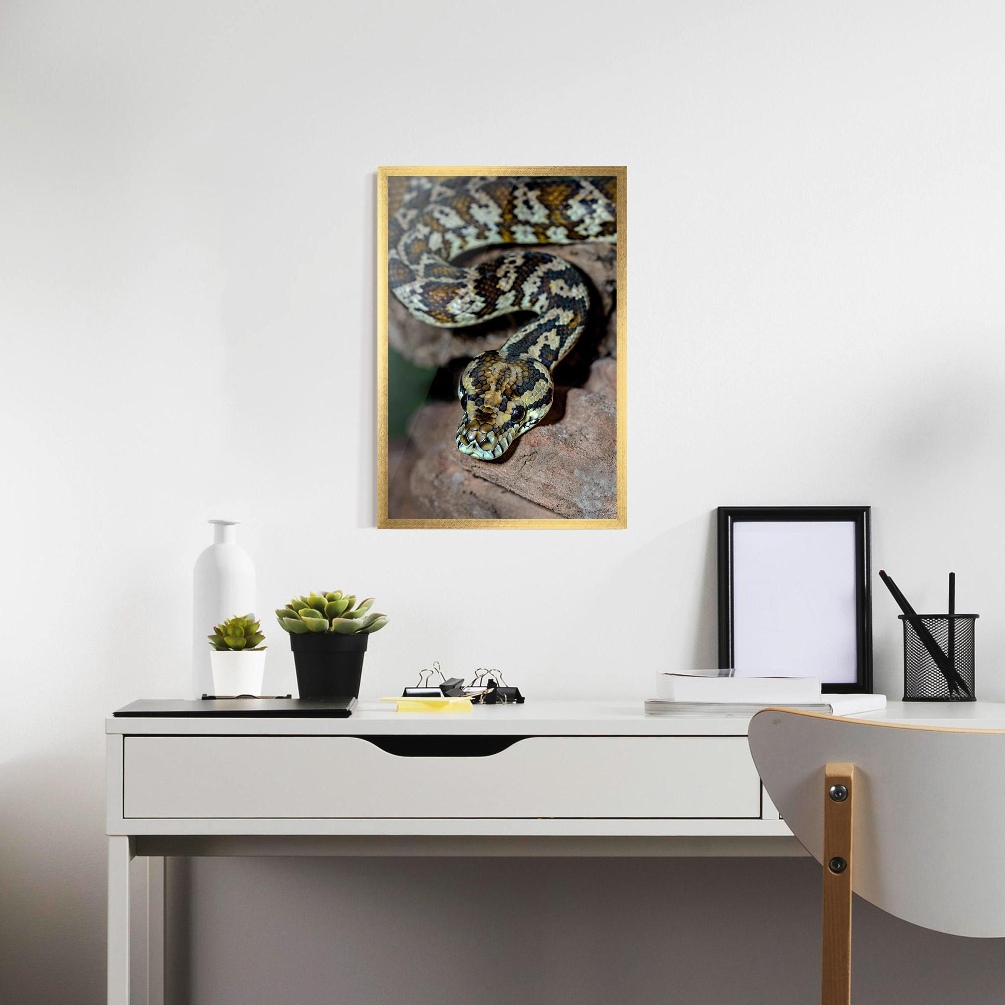 Plakat w Ramie King Snake mockup 7