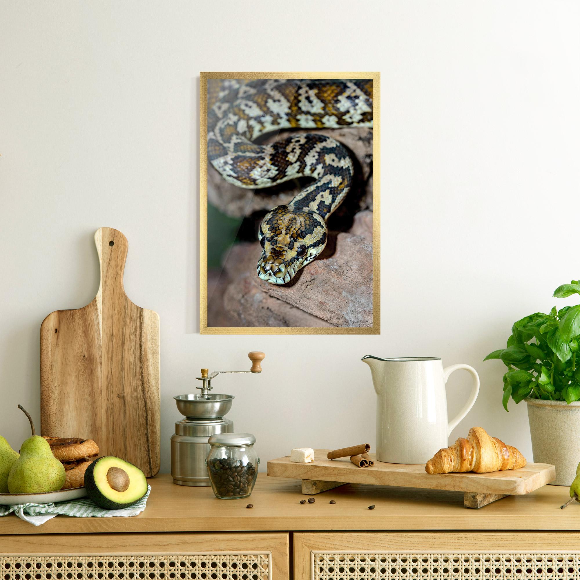 Plakat w Ramie King Snake mockup 8